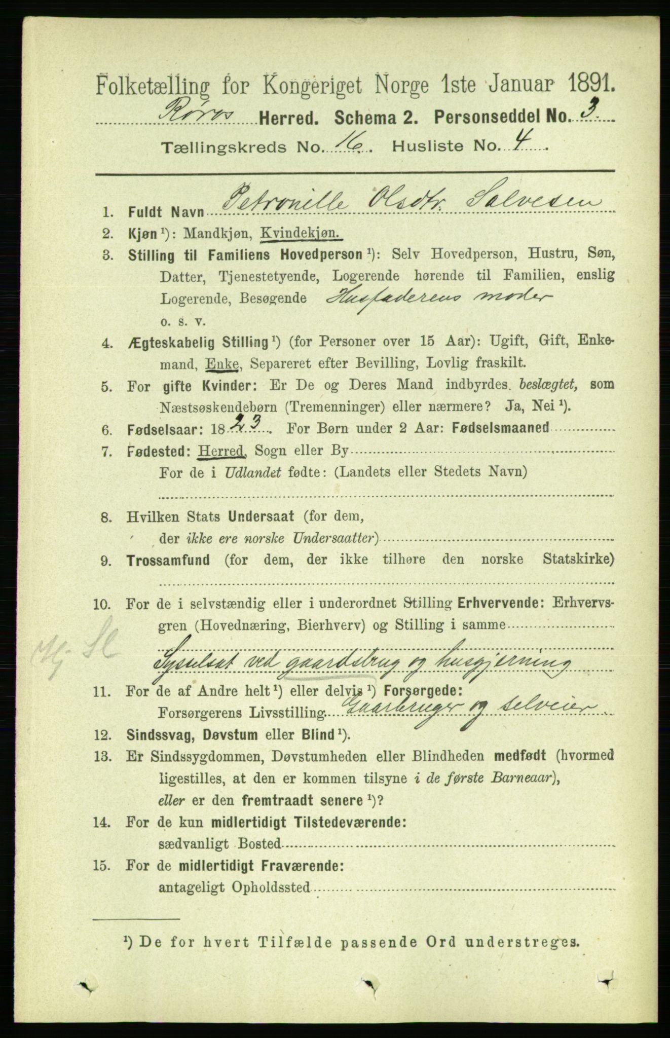 RA, 1891 census for 1640 Røros, 1891, p. 3797