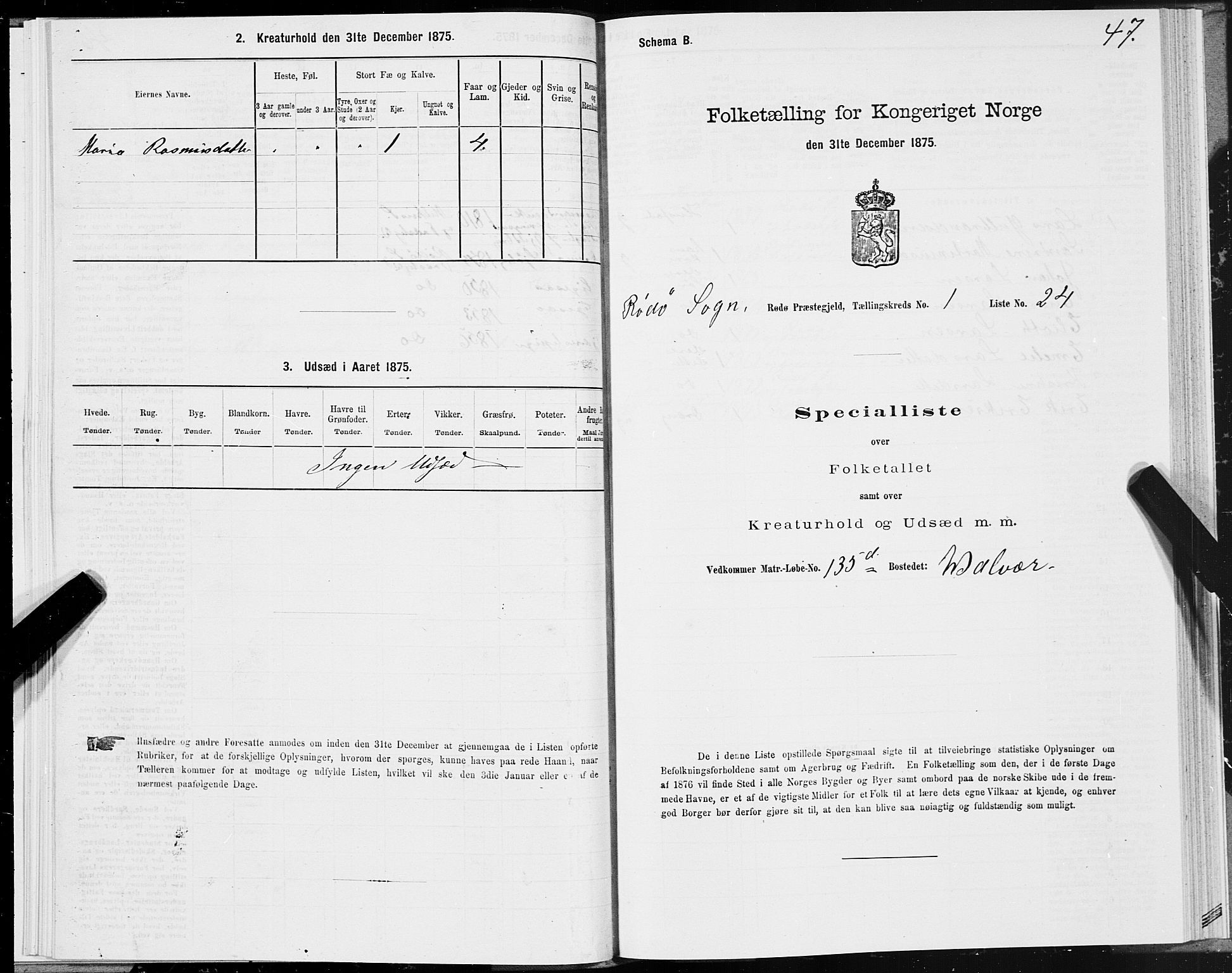 SAT, 1875 census for 1836P Rødøy, 1875, p. 1047