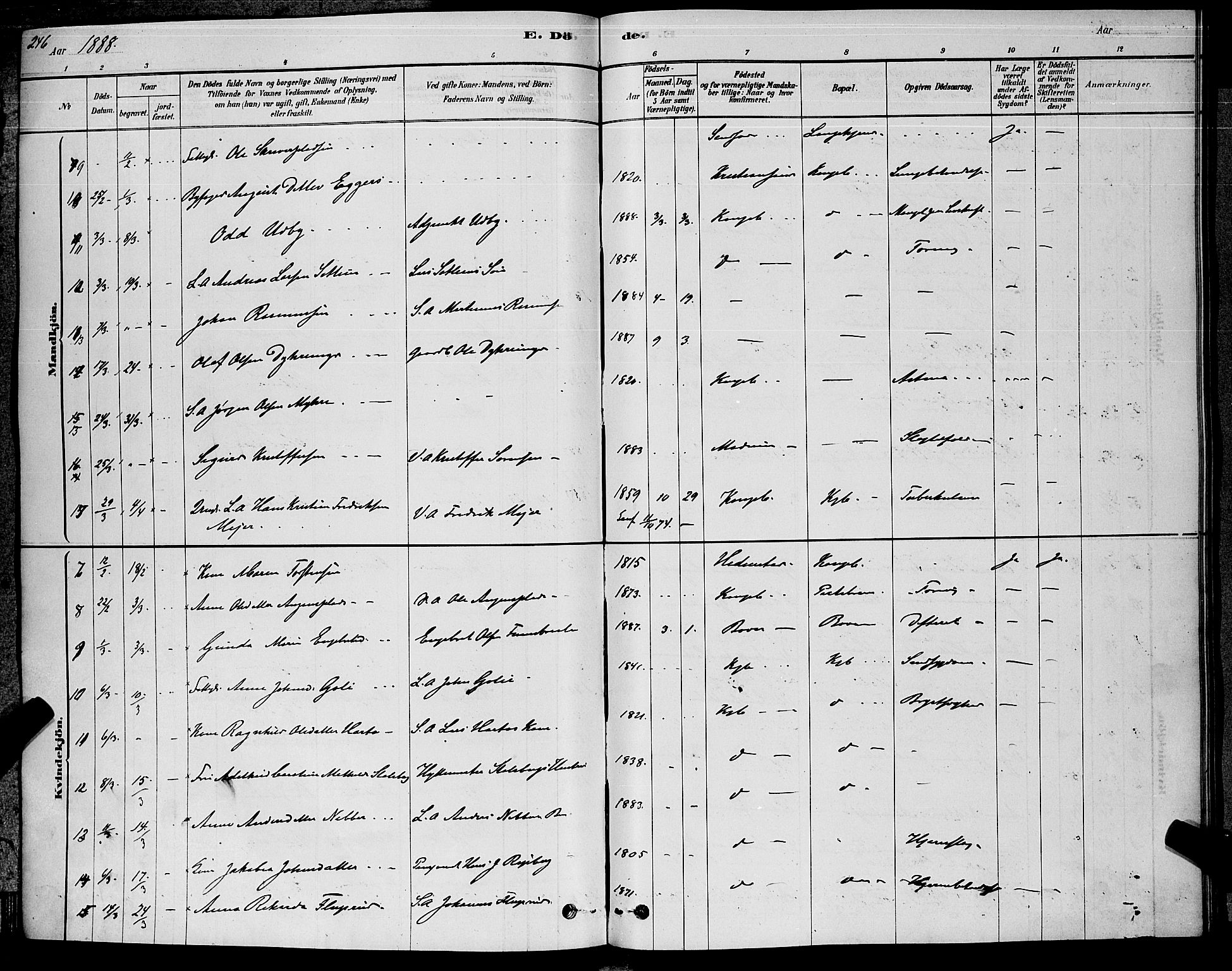 Kongsberg kirkebøker, AV/SAKO-A-22/G/Ga/L0005: Parish register (copy) no. 5, 1878-1889, p. 246