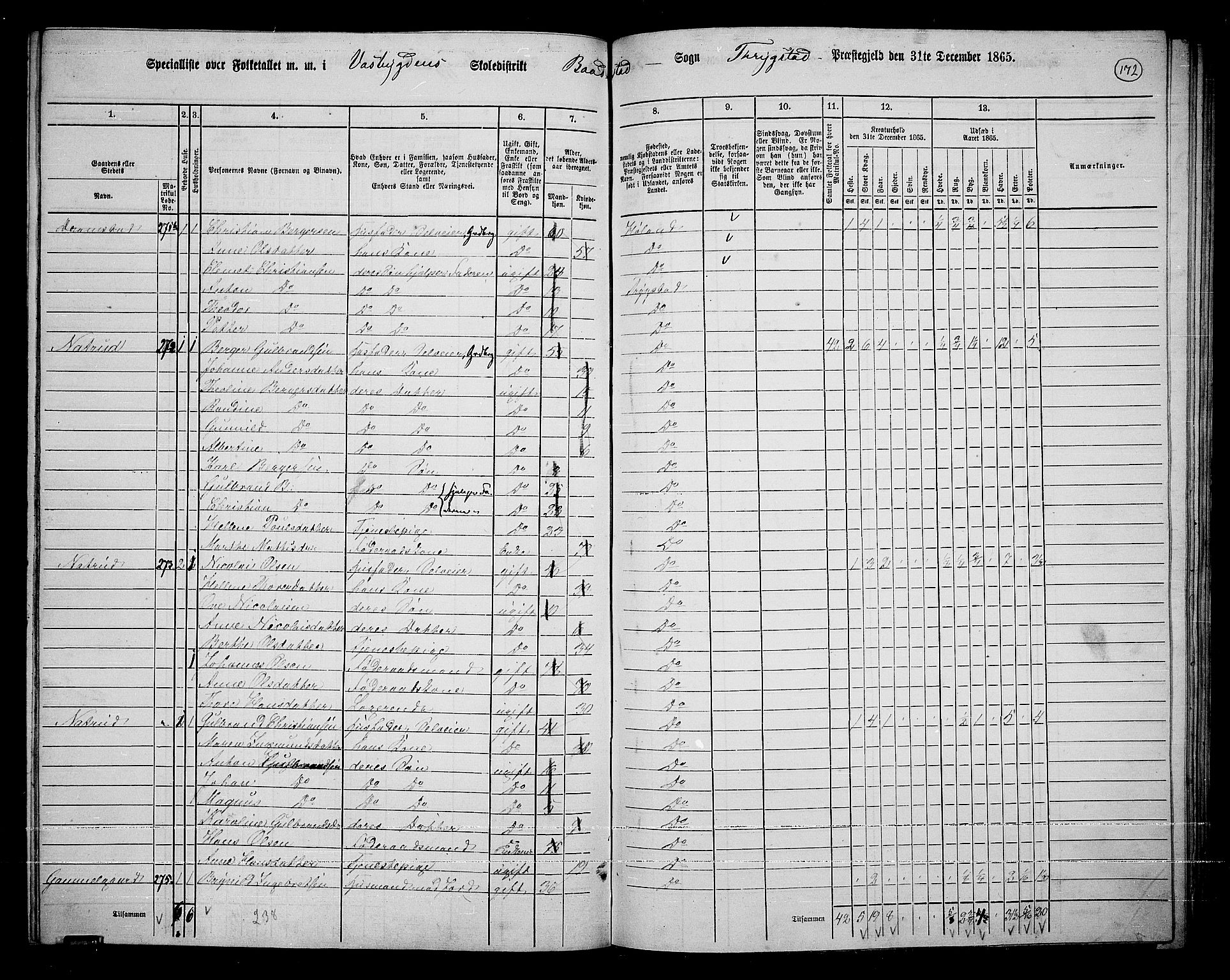 RA, 1865 census for Trøgstad, 1865, p. 152