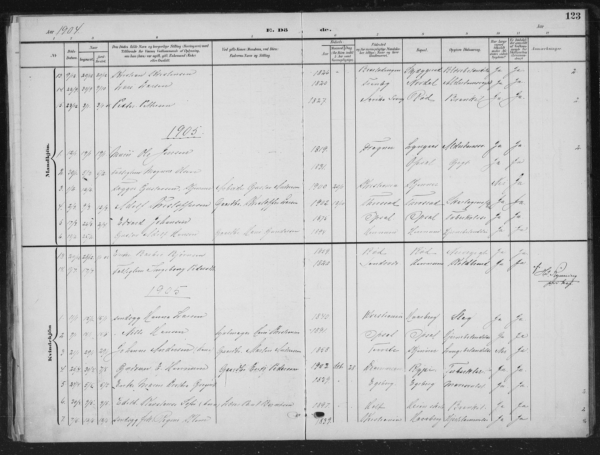 Lier kirkebøker, AV/SAKO-A-230/G/Gc/L0002: Parish register (copy) no. III 2, 1903-1938, p. 123