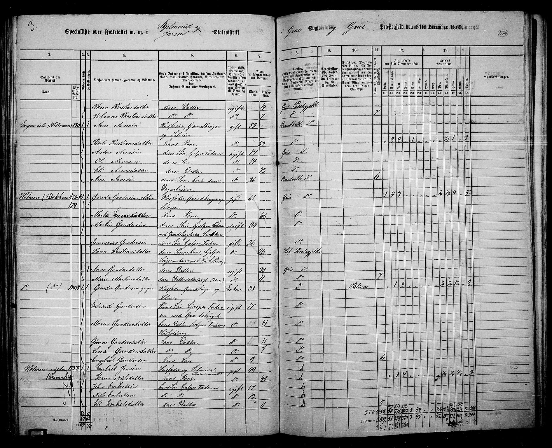 RA, 1865 census for Grue, 1865, p. 243