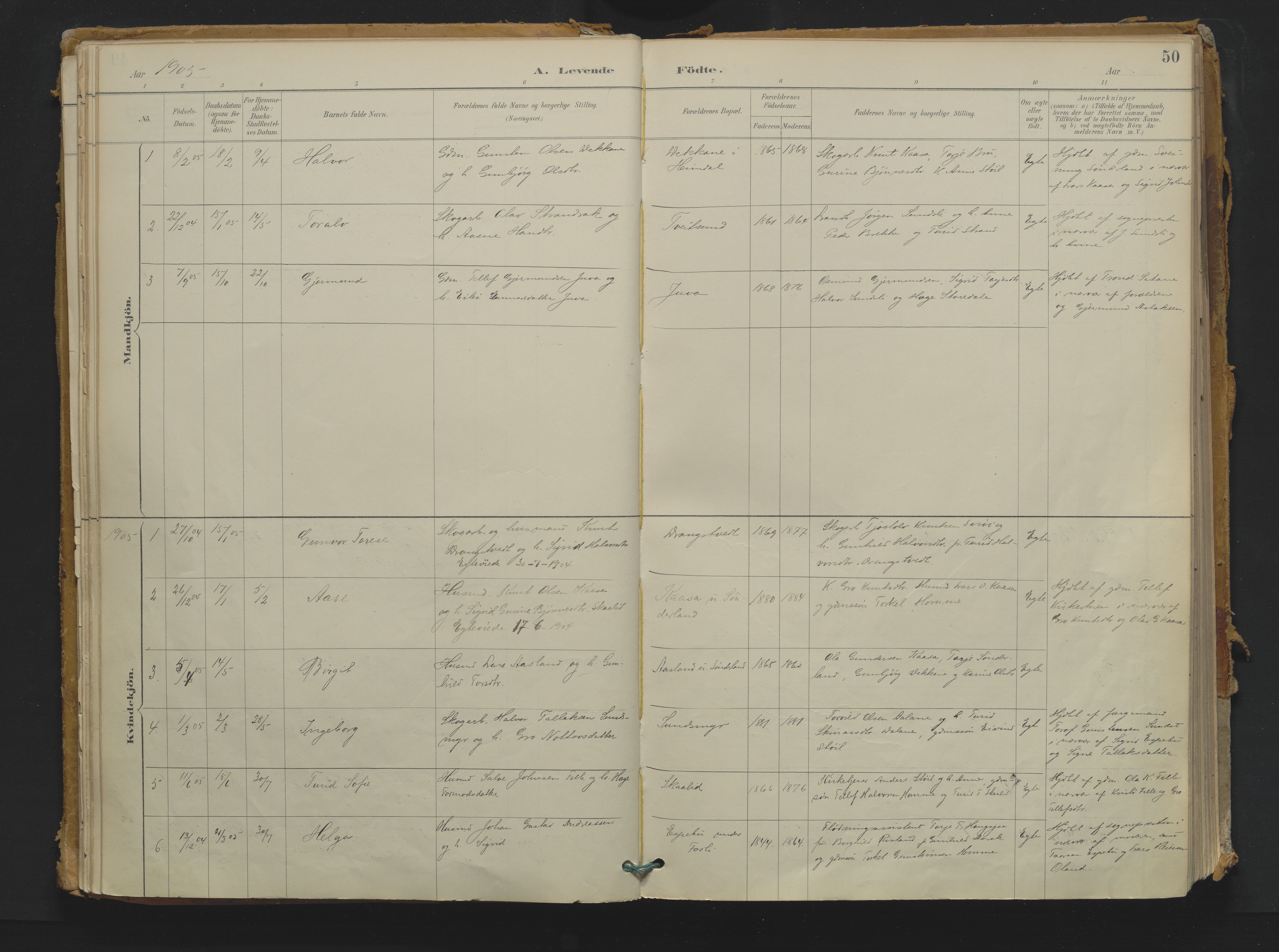 Nissedal kirkebøker, AV/SAKO-A-288/F/Fb/L0002: Parish register (official) no. II 2, 1887-1924, p. 50