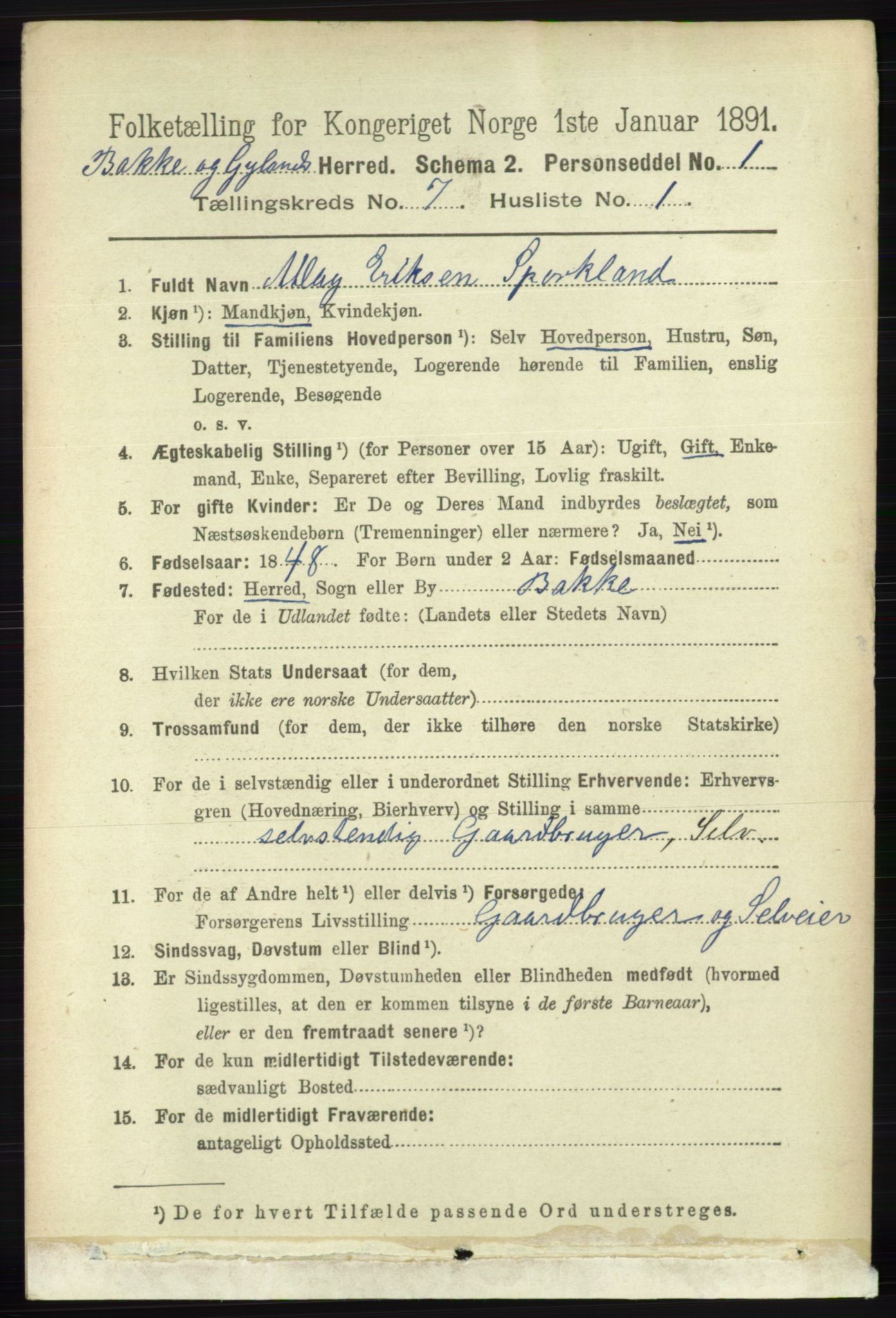 RA, 1891 census for 1045 Bakke, 1891, p. 1305