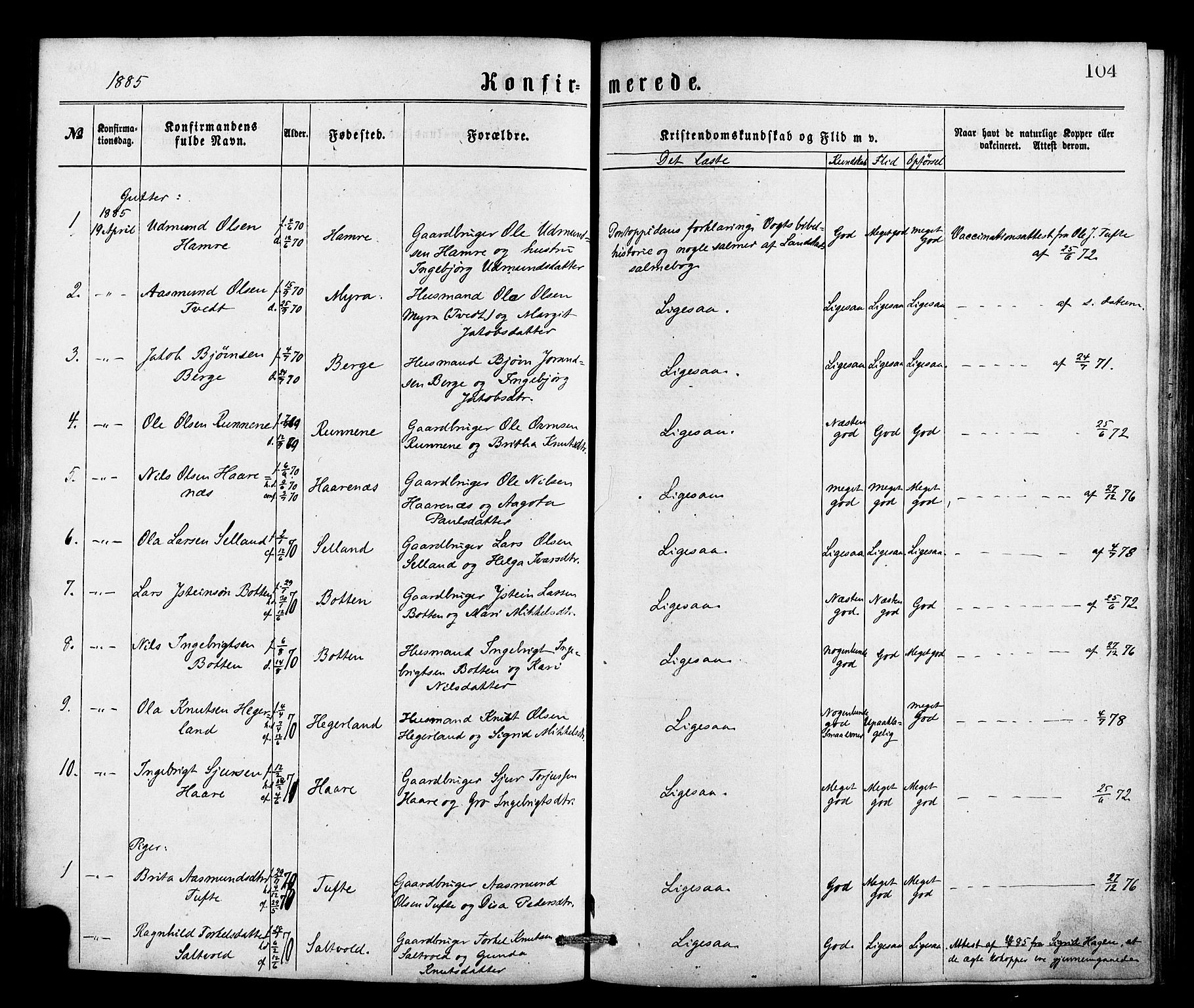 Røldal sokneprestembete, SAB/A-100247: Parish register (official) no. A 4, 1870-1886, p. 104