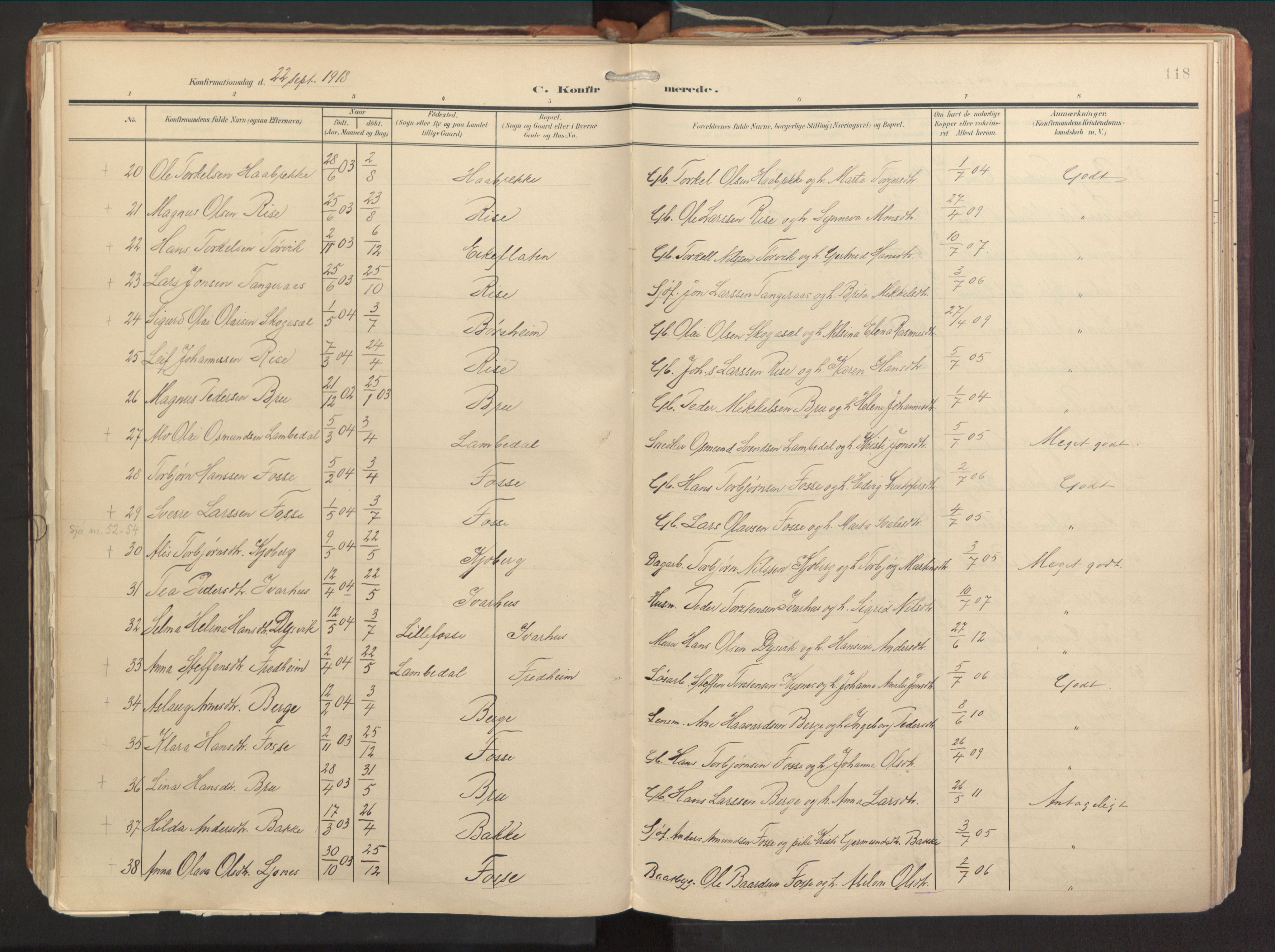 Strandebarm sokneprestembete, SAB/A-78401/H/Haa: Parish register (official) no. B 2, 1909-1941, p. 118