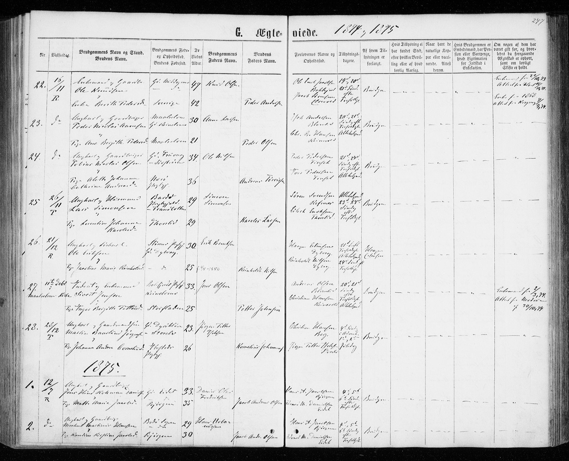 Tranøy sokneprestkontor, SATØ/S-1313/I/Ia/Iaa/L0008kirke: Parish register (official) no. 8, 1867-1877, p. 247
