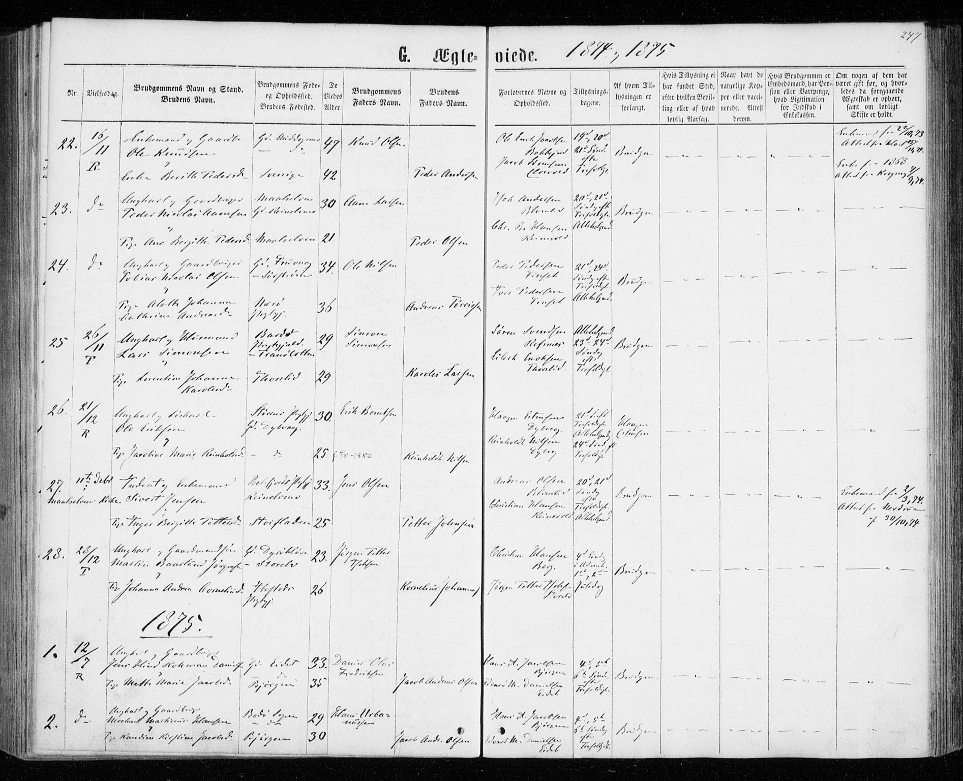 Tranøy sokneprestkontor, AV/SATØ-S-1313/I/Ia/Iaa/L0008kirke: Parish register (official) no. 8, 1867-1877, p. 247
