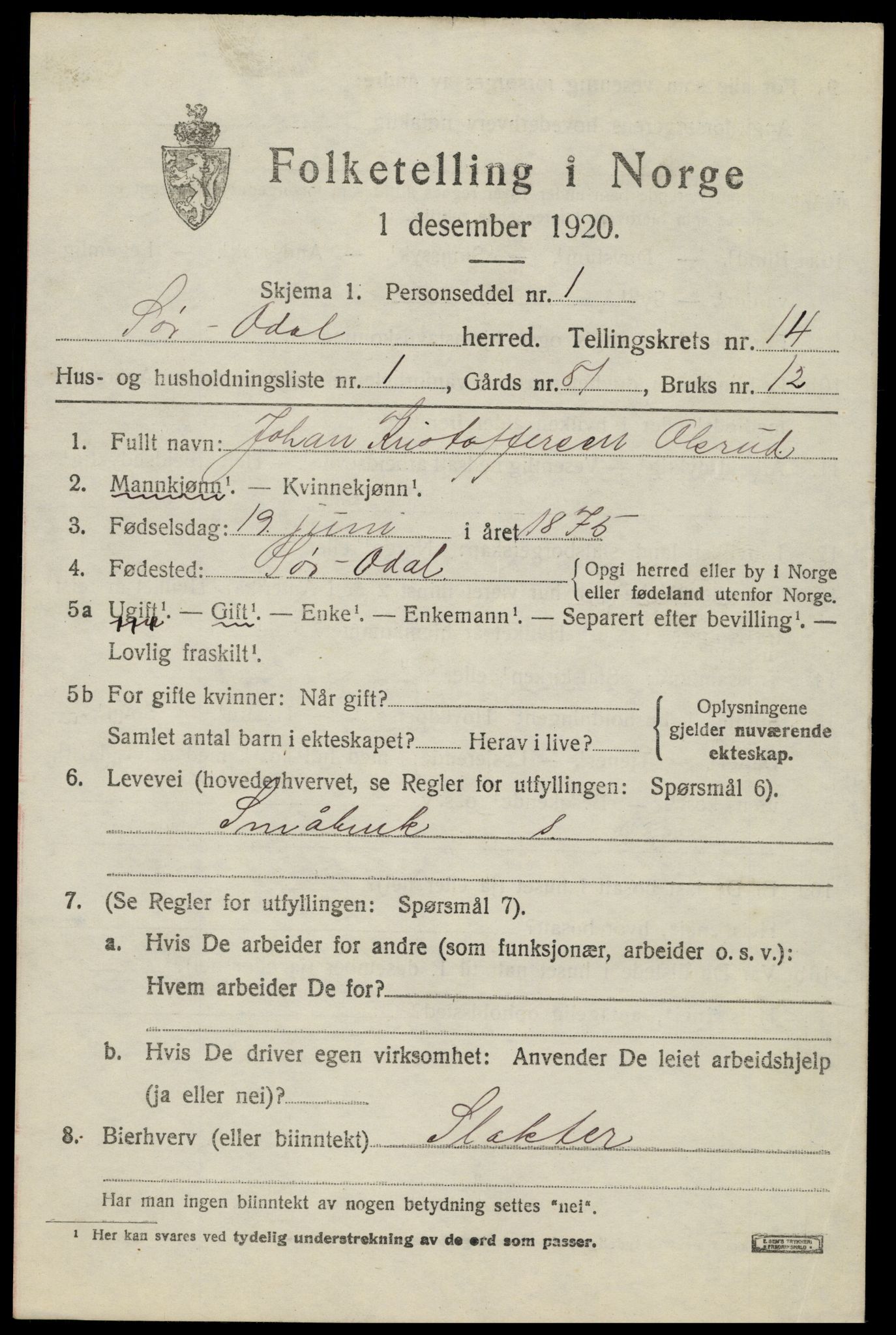 SAH, 1920 census for Sør-Odal, 1920, p. 13915