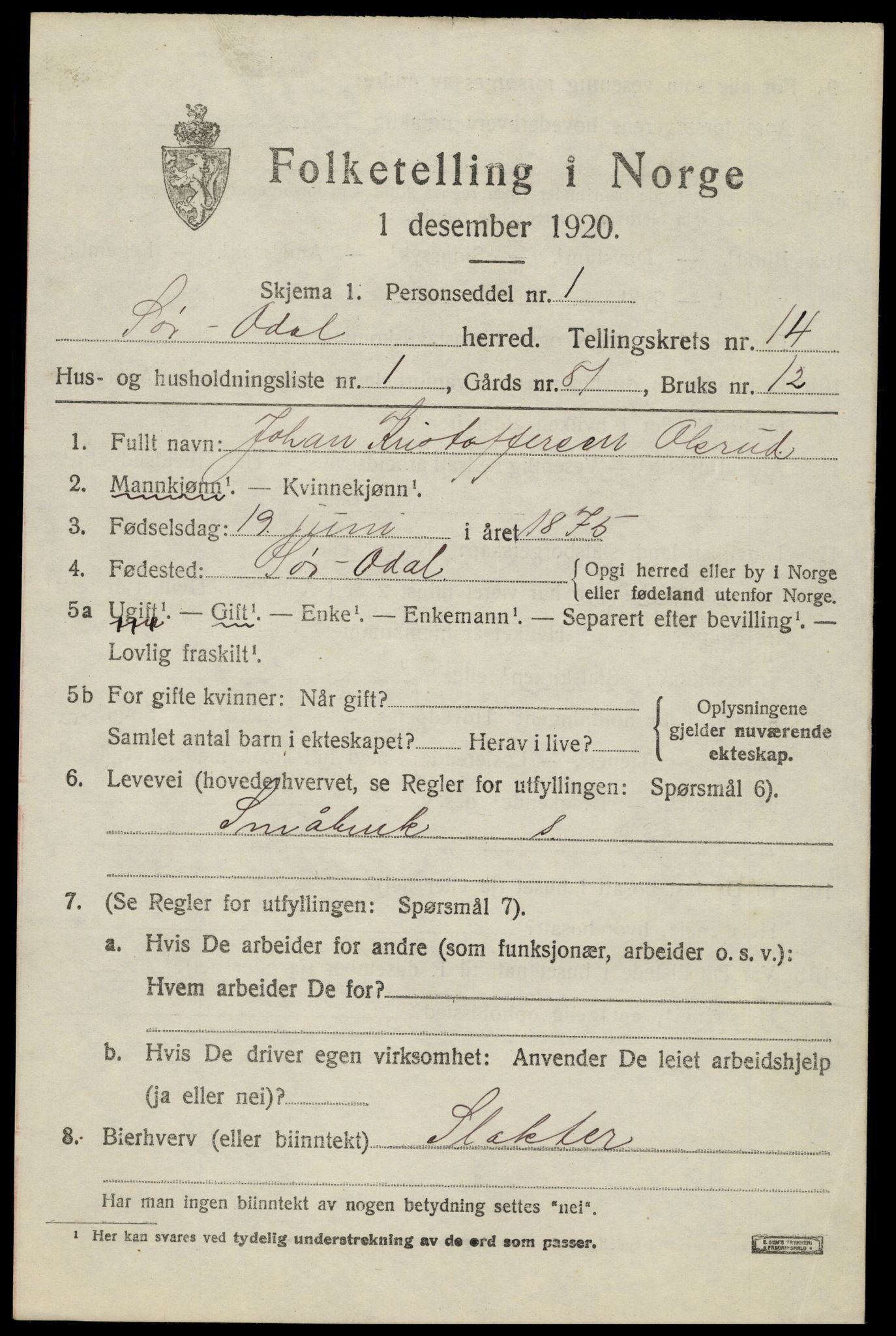 SAH, 1920 census for Sør-Odal, 1920, p. 13915