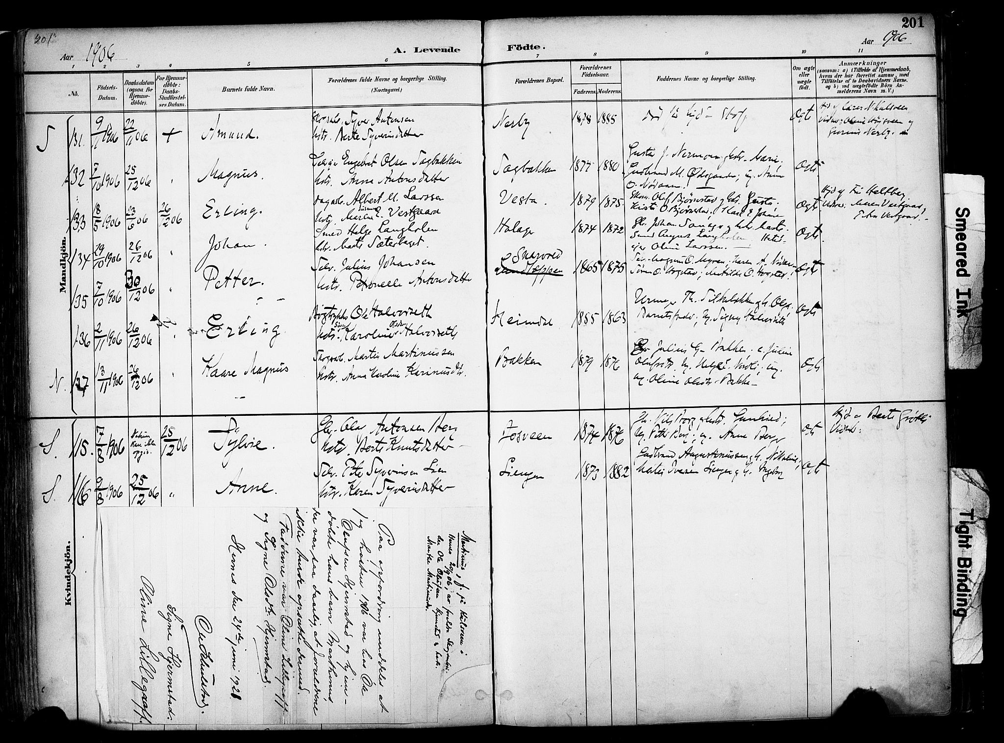 Elverum prestekontor, AV/SAH-PREST-044/H/Ha/Haa/L0014: Parish register (official) no. 14, 1891-1909, p. 201