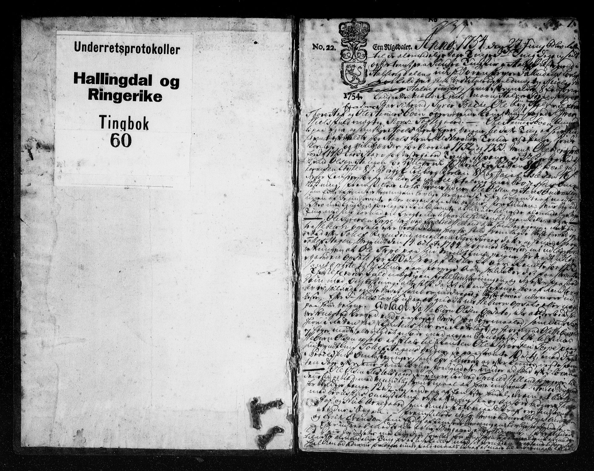 Ringerike og Hallingdal sorenskriveri, SAKO/A-81/F/Fa/Fad/L0004: Tingbok - Hallingdal, 1754-1756, p. 1