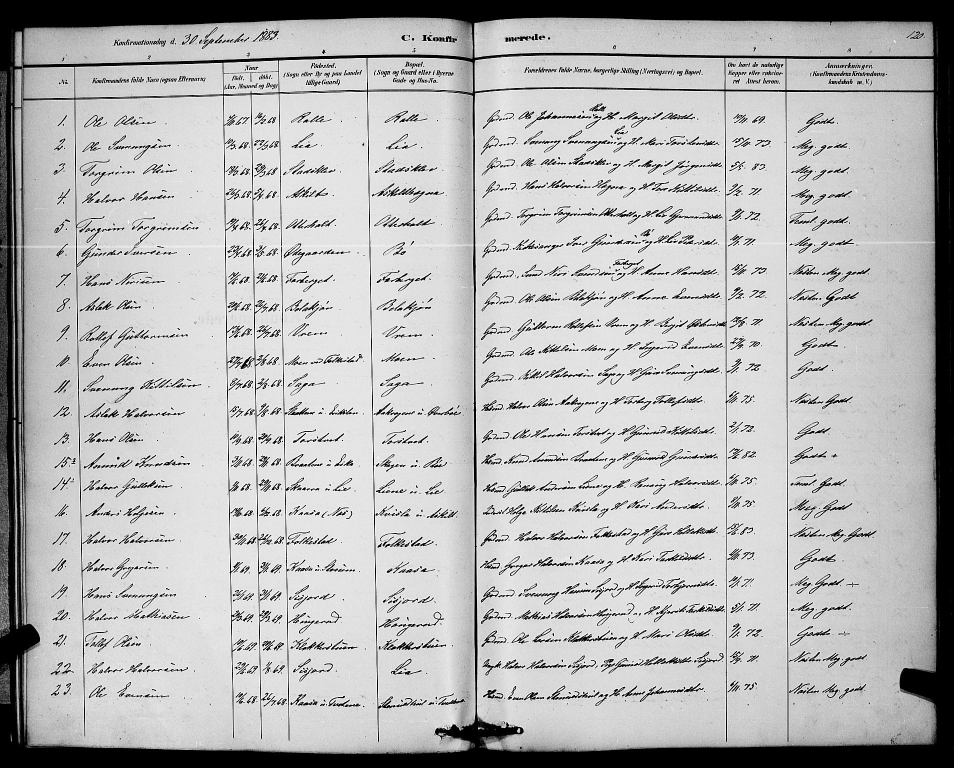 Bø kirkebøker, SAKO/A-257/G/Ga/L0005: Parish register (copy) no. 5, 1883-1897, p. 120