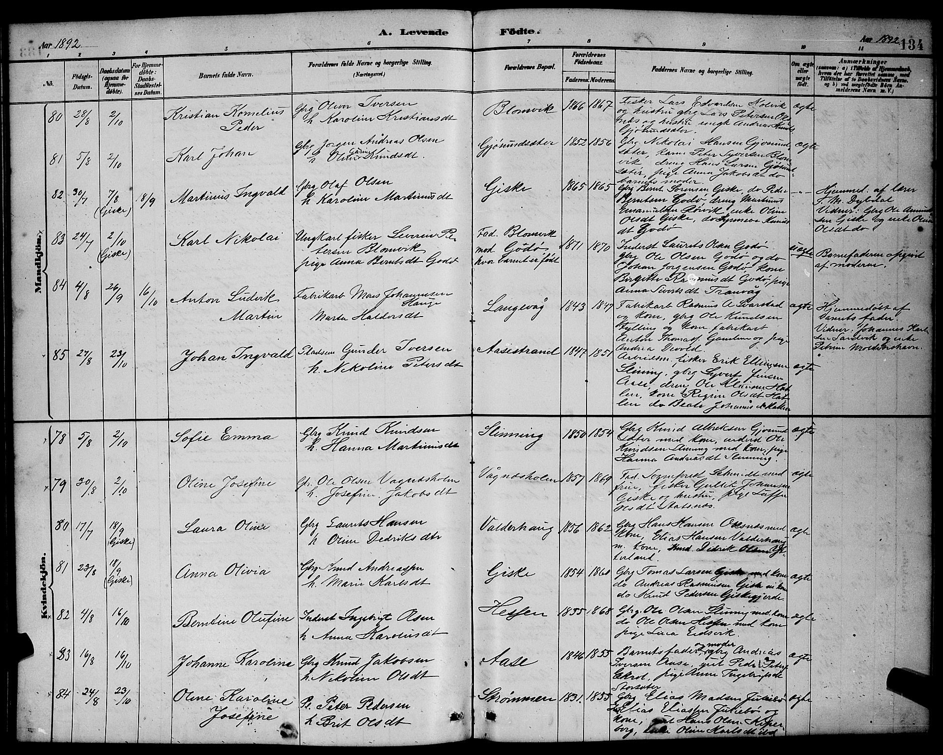 Ministerialprotokoller, klokkerbøker og fødselsregistre - Møre og Romsdal, AV/SAT-A-1454/528/L0431: Parish register (copy) no. 528C12, 1885-1898, p. 134