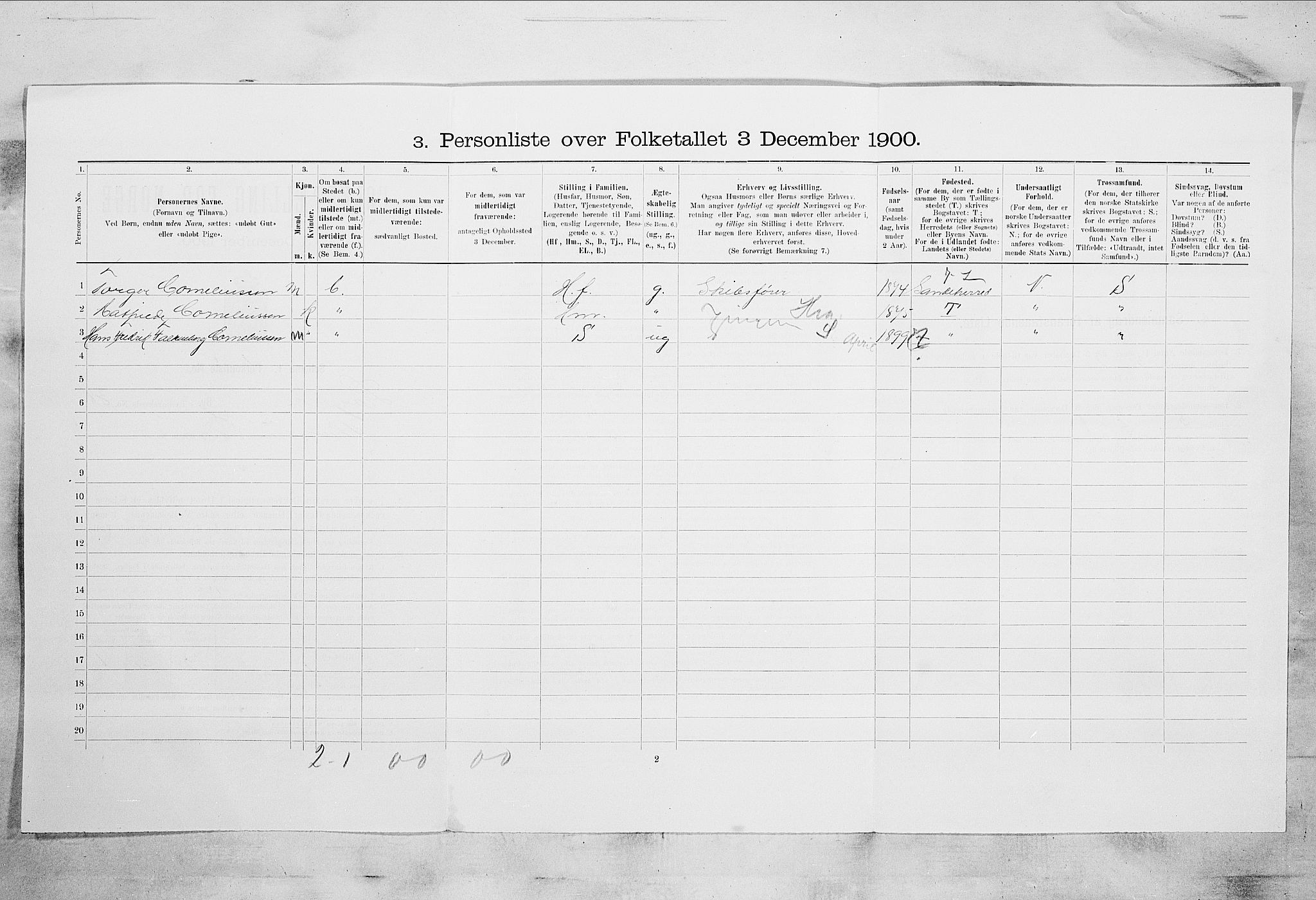 RA, 1900 census for Larvik, 1900, p. 5117