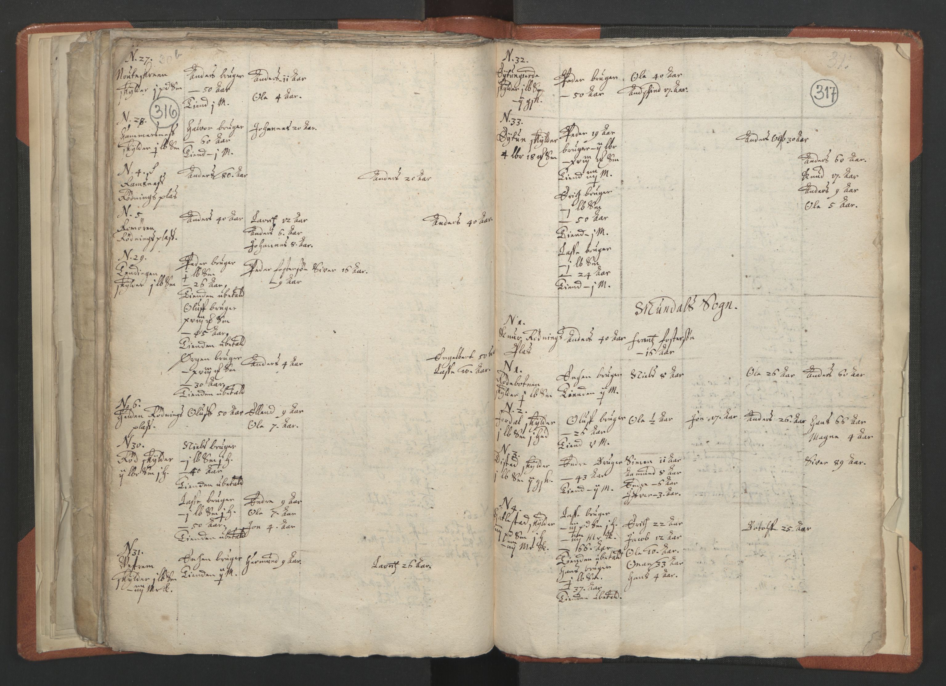 RA, Vicar's Census 1664-1666, no. 23: Sogn deanery, 1664-1666, p. 316-317