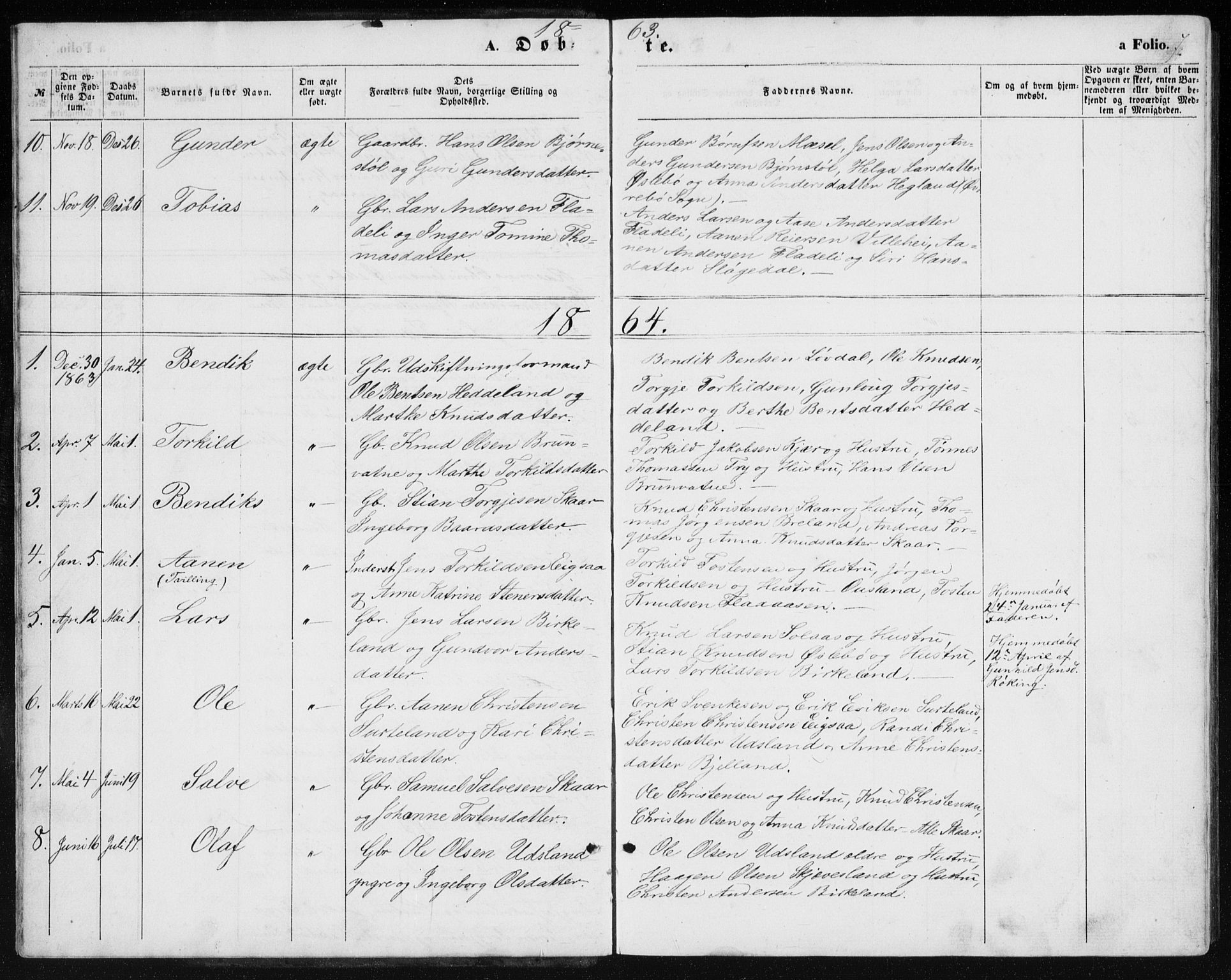 Holum sokneprestkontor, AV/SAK-1111-0022/F/Fb/Fbc/L0002: Parish register (copy) no. B 2, 1860-1882, p. 7