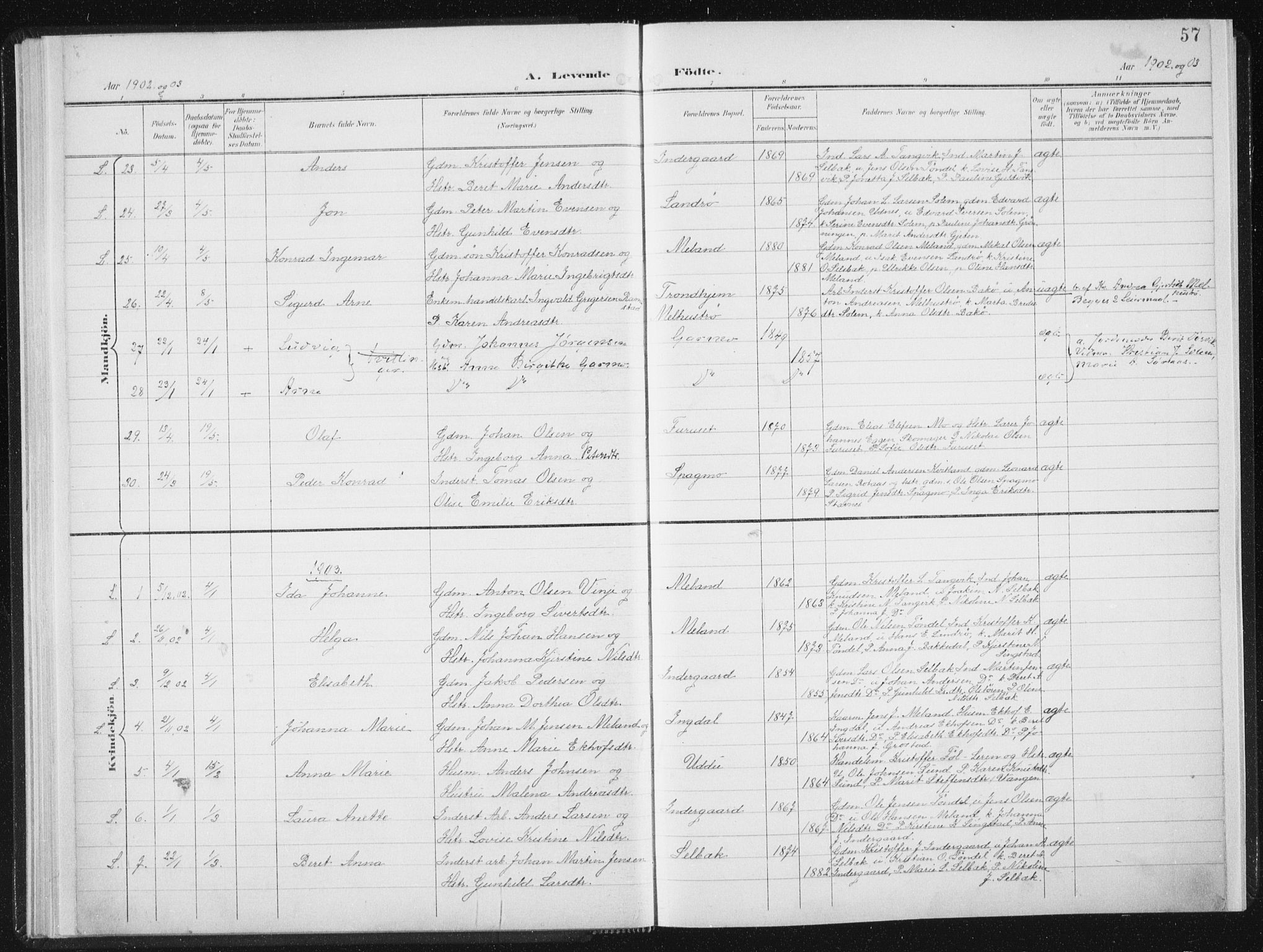 Ministerialprotokoller, klokkerbøker og fødselsregistre - Sør-Trøndelag, SAT/A-1456/647/L0635: Parish register (official) no. 647A02, 1896-1911, p. 57