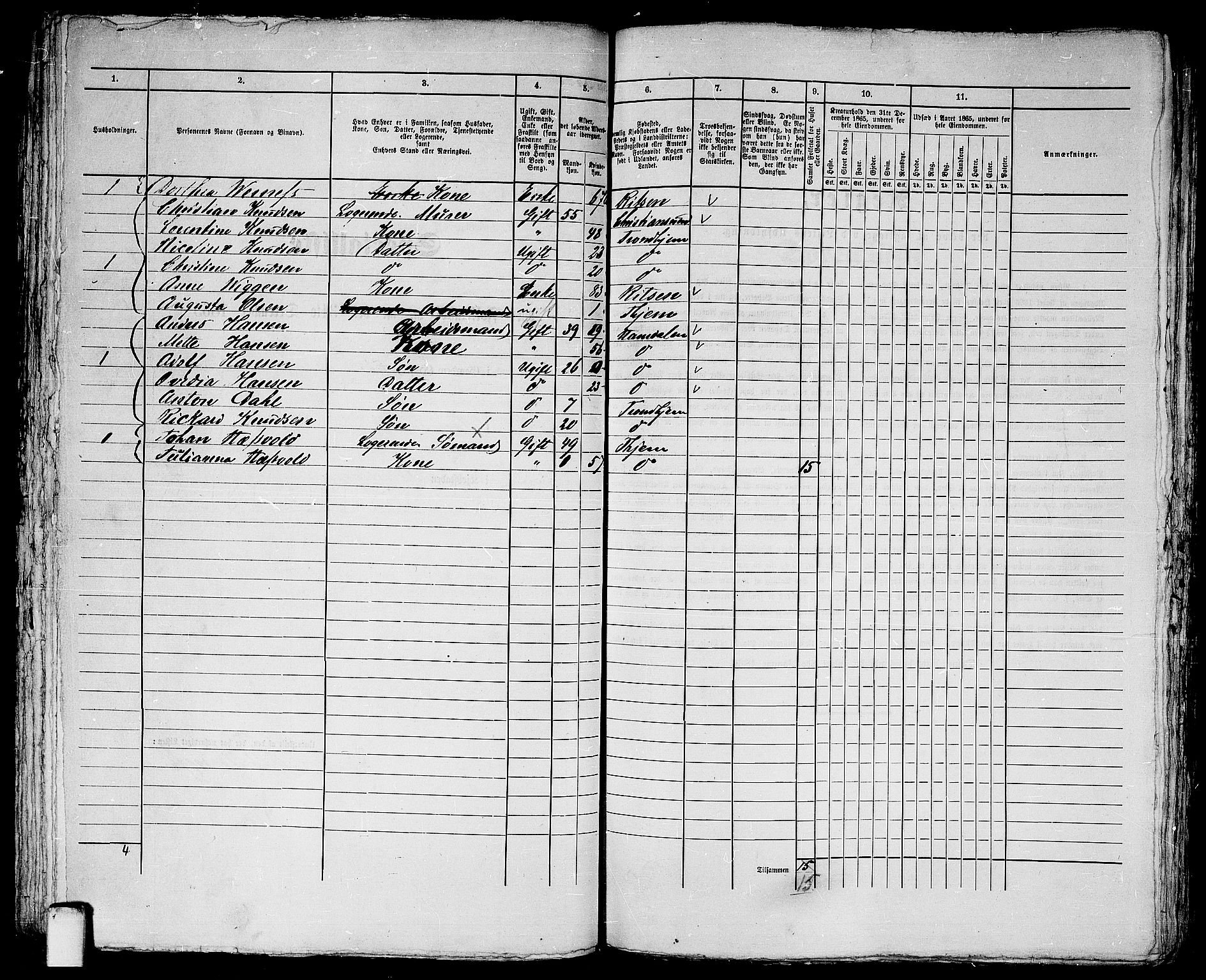 RA, 1865 census for Trondheim, 1865, p. 700