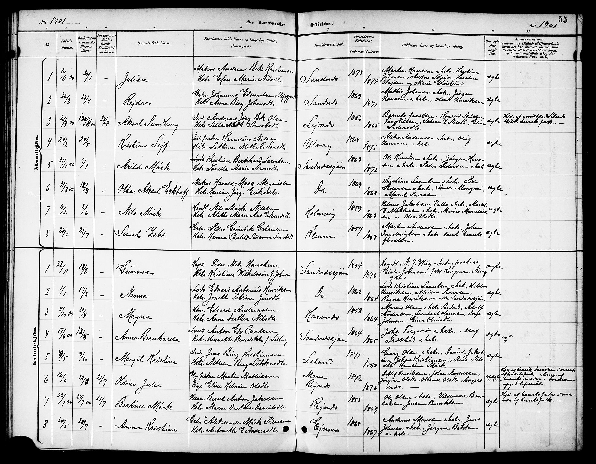 Ministerialprotokoller, klokkerbøker og fødselsregistre - Nordland, SAT/A-1459/831/L0478: Parish register (copy) no. 831C05, 1892-1909, p. 55