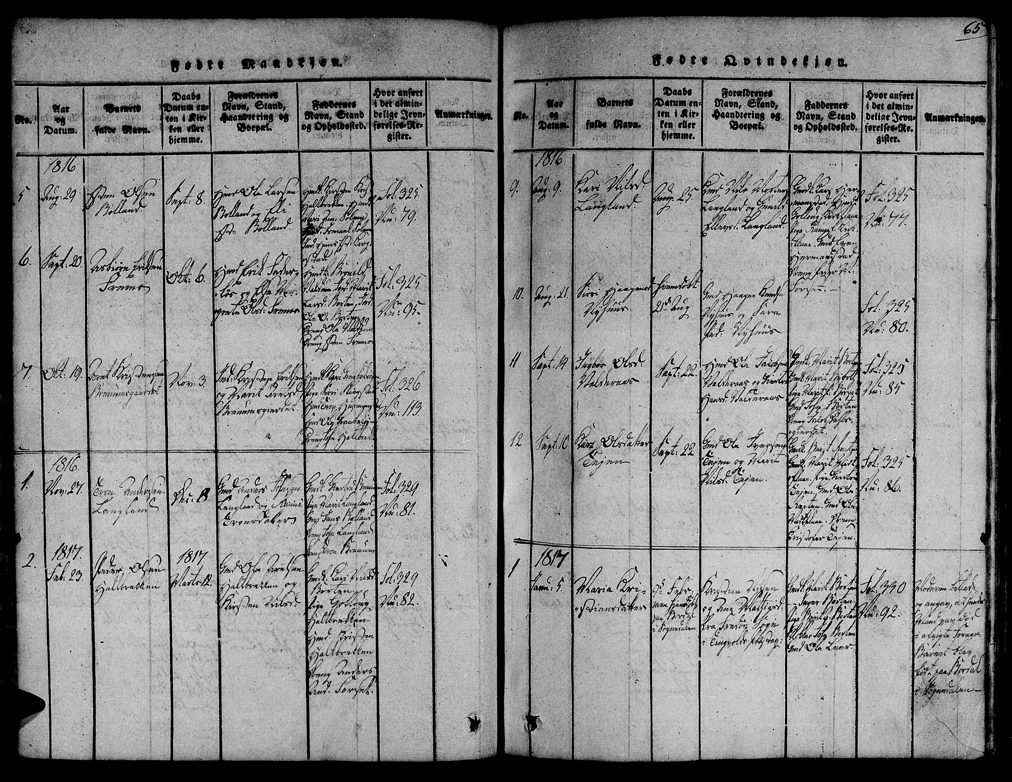 Ministerialprotokoller, klokkerbøker og fødselsregistre - Sør-Trøndelag, SAT/A-1456/691/L1066: Parish register (official) no. 691A03 /2, 1816-1826, p. 65