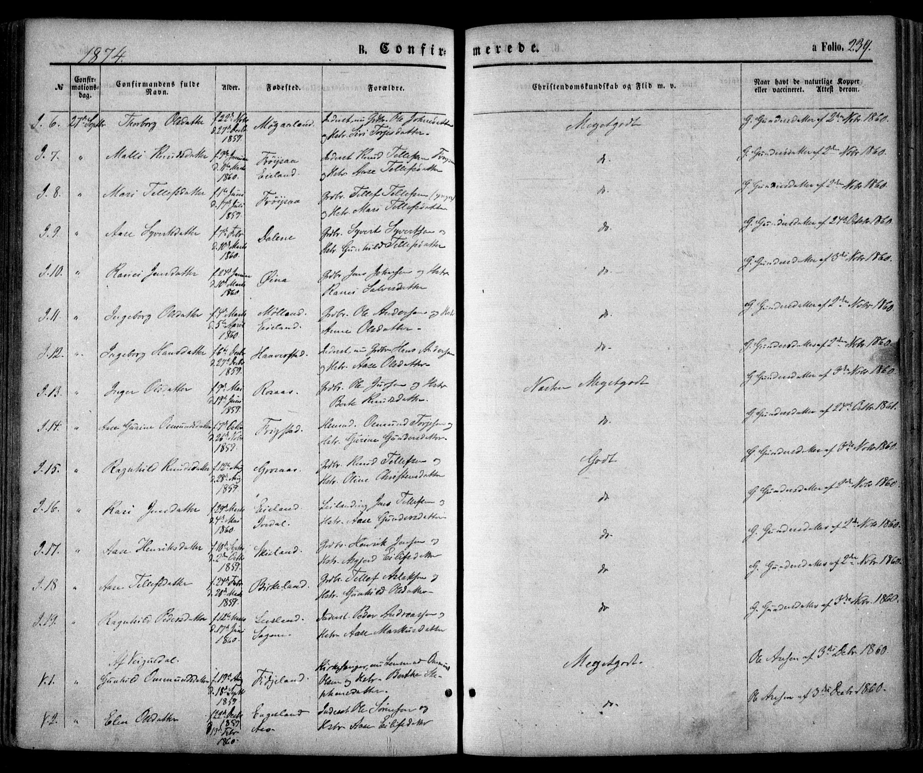 Evje sokneprestkontor, SAK/1111-0008/F/Fa/Faa/L0006: Parish register (official) no. A 6, 1866-1884, p. 239