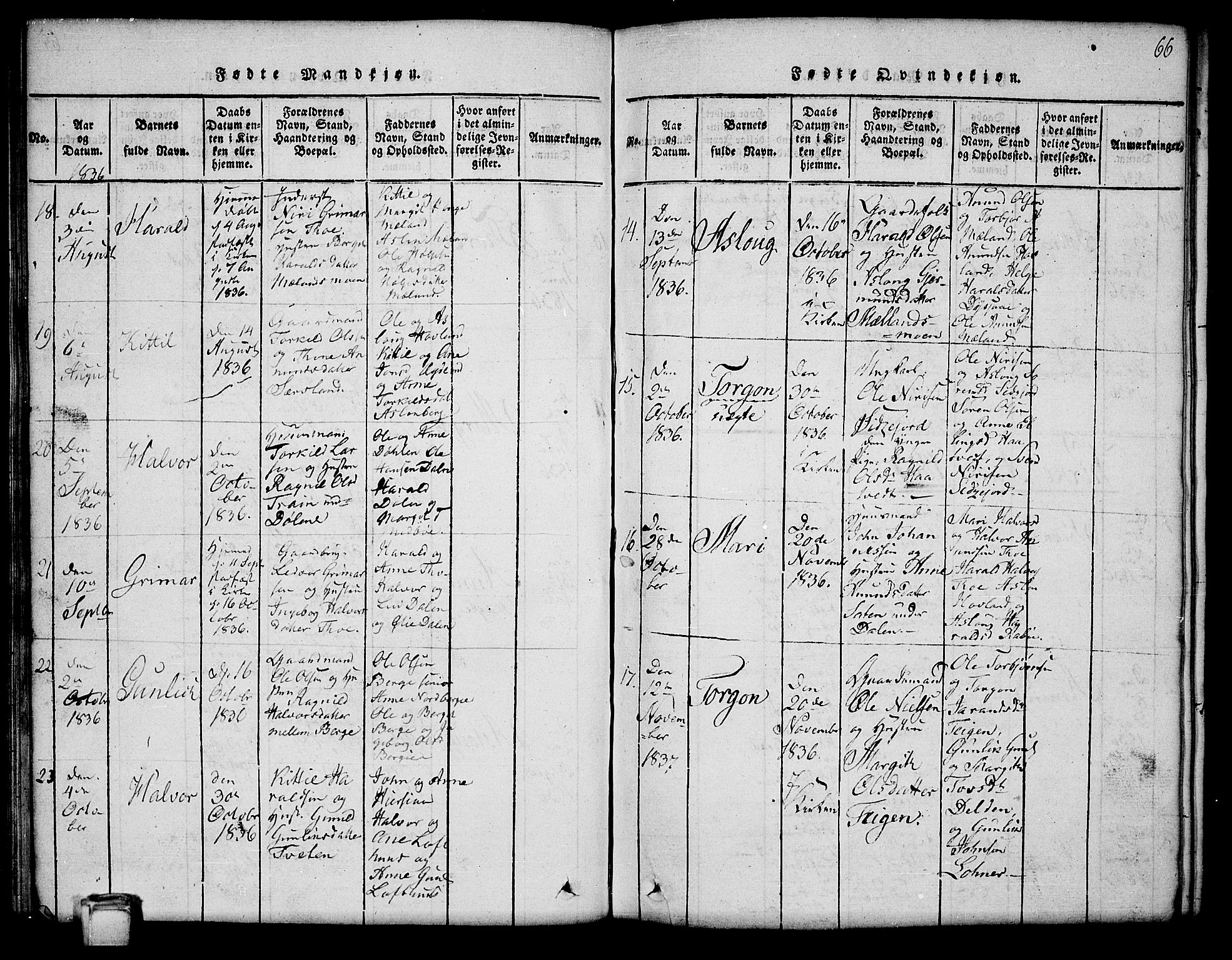 Hjartdal kirkebøker, SAKO/A-270/G/Ga/L0001: Parish register (copy) no. I 1, 1815-1842, p. 66