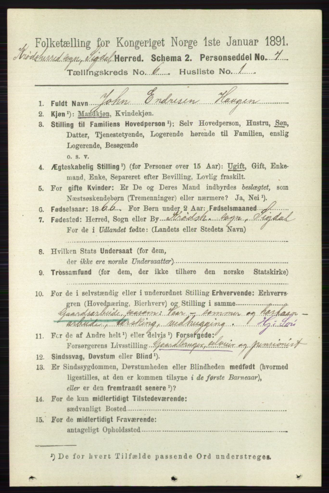 RA, 1891 census for 0621 Sigdal, 1891, p. 6636