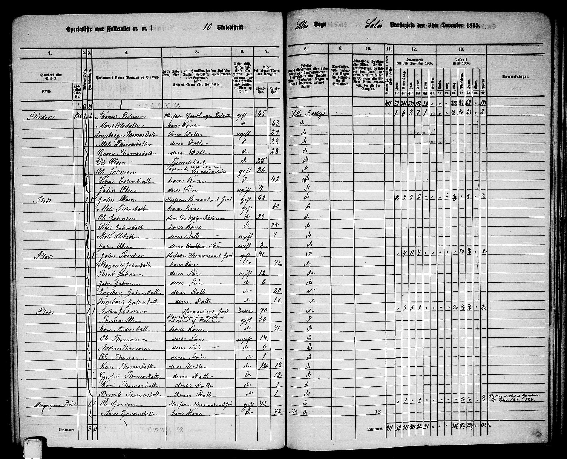 RA, 1865 census for Selbu, 1865, p. 194