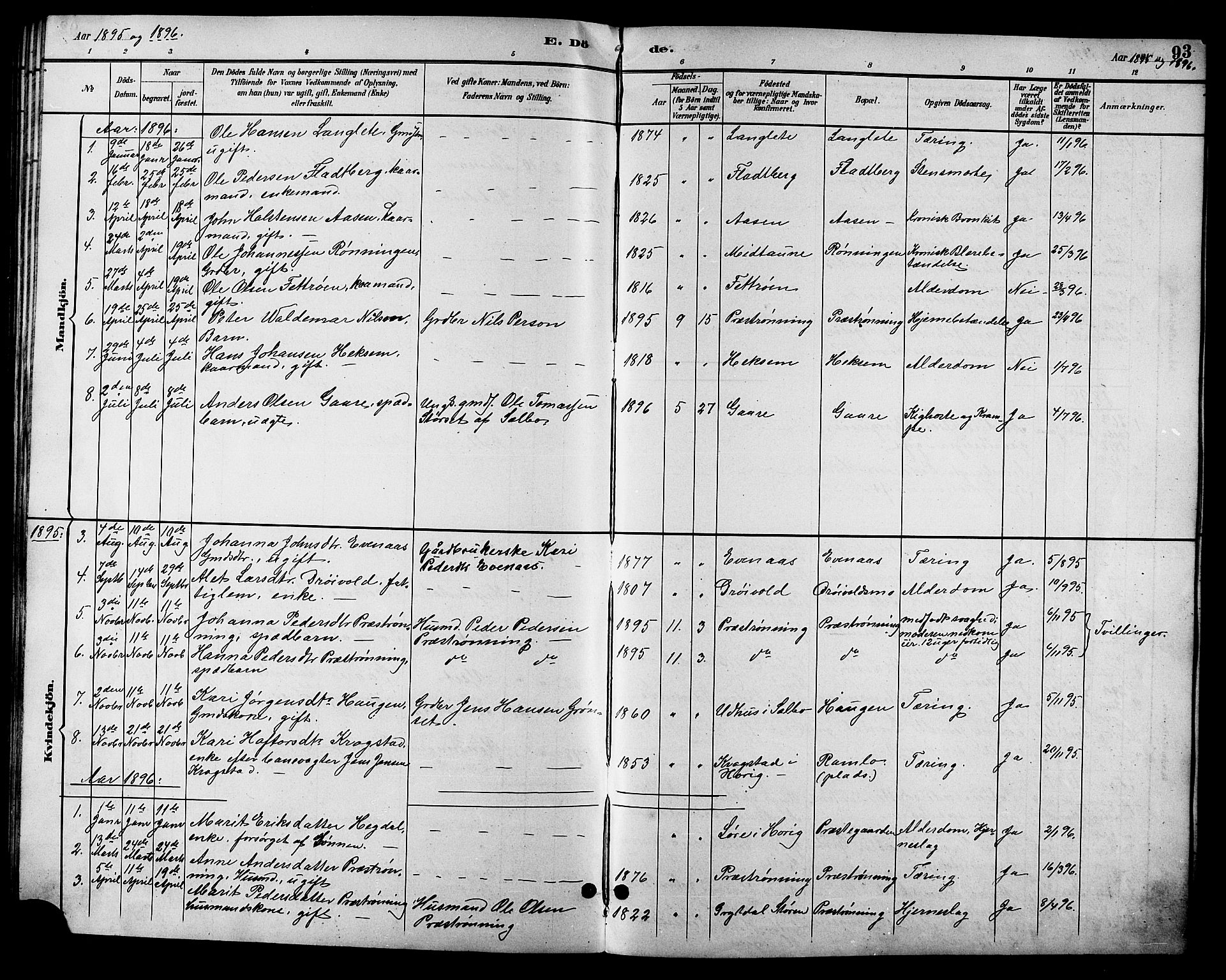 Ministerialprotokoller, klokkerbøker og fødselsregistre - Sør-Trøndelag, SAT/A-1456/685/L0978: Parish register (copy) no. 685C03, 1891-1907, p. 93