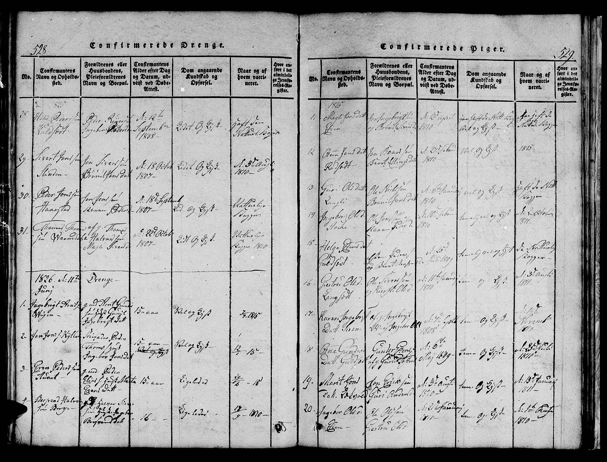 Ministerialprotokoller, klokkerbøker og fødselsregistre - Sør-Trøndelag, AV/SAT-A-1456/695/L1152: Parish register (copy) no. 695C03, 1816-1831, p. 528-529