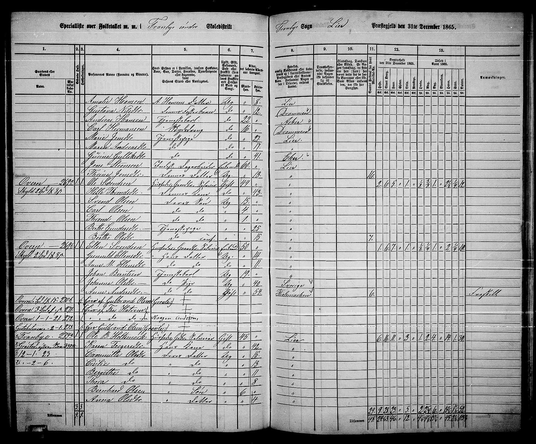 RA, 1865 census for Lier, 1865, p. 185