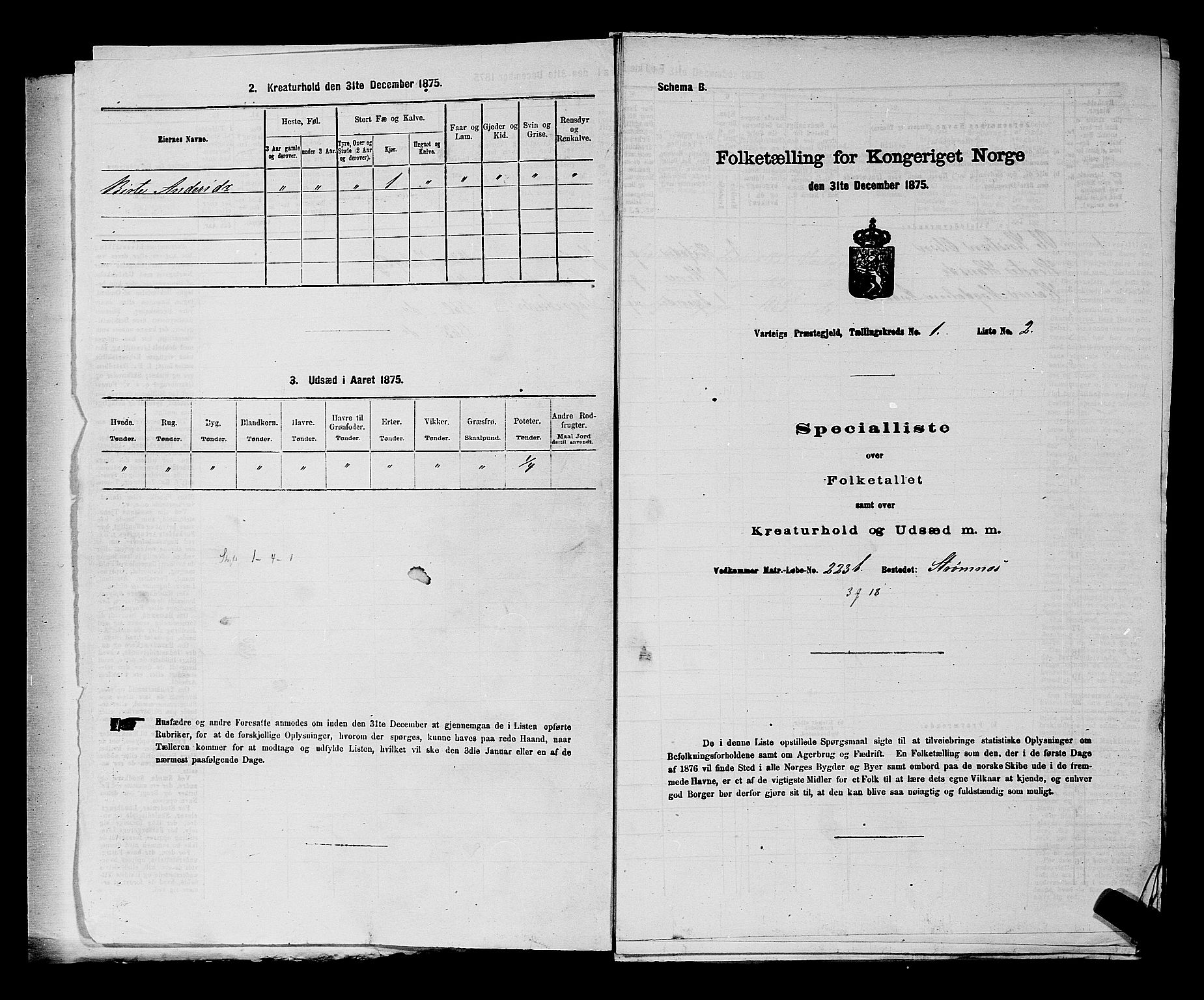 RA, 1875 census for 0114P Varteig, 1875, p. 19