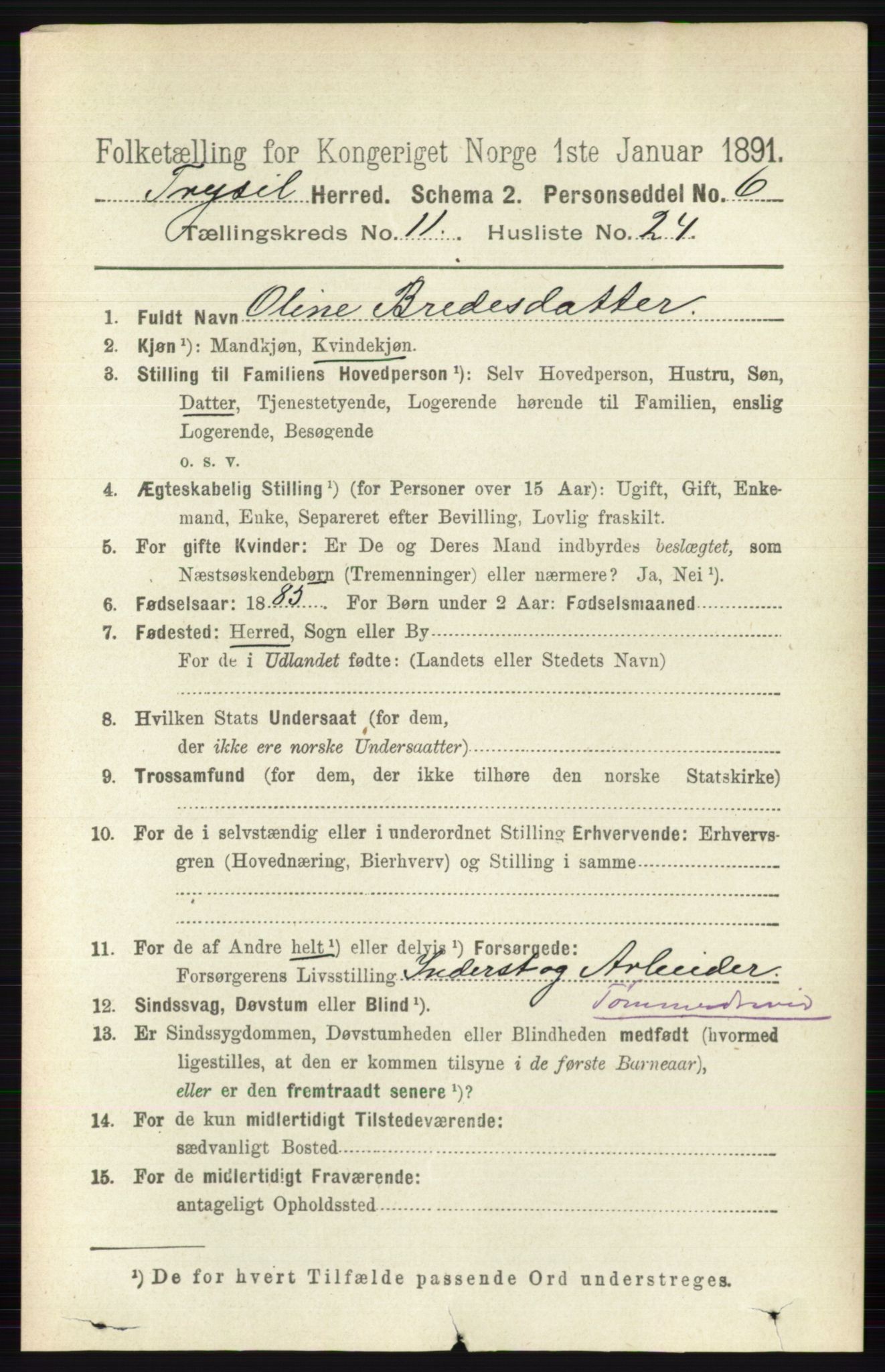 RA, 1891 census for 0428 Trysil, 1891, p. 5685