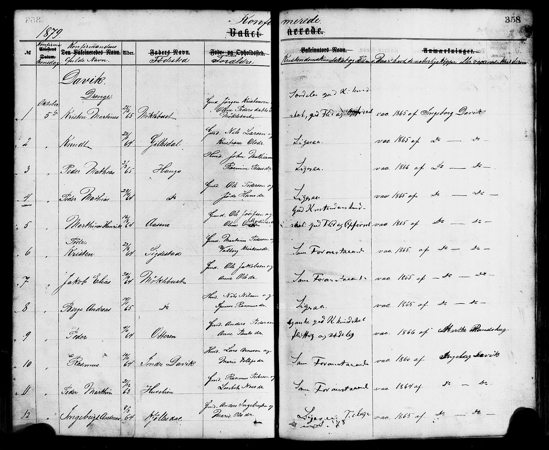 Davik sokneprestembete, AV/SAB-A-79701/H/Haa/Haaa/L0006: Parish register (official) no. A 6, 1867-1881, p. 358