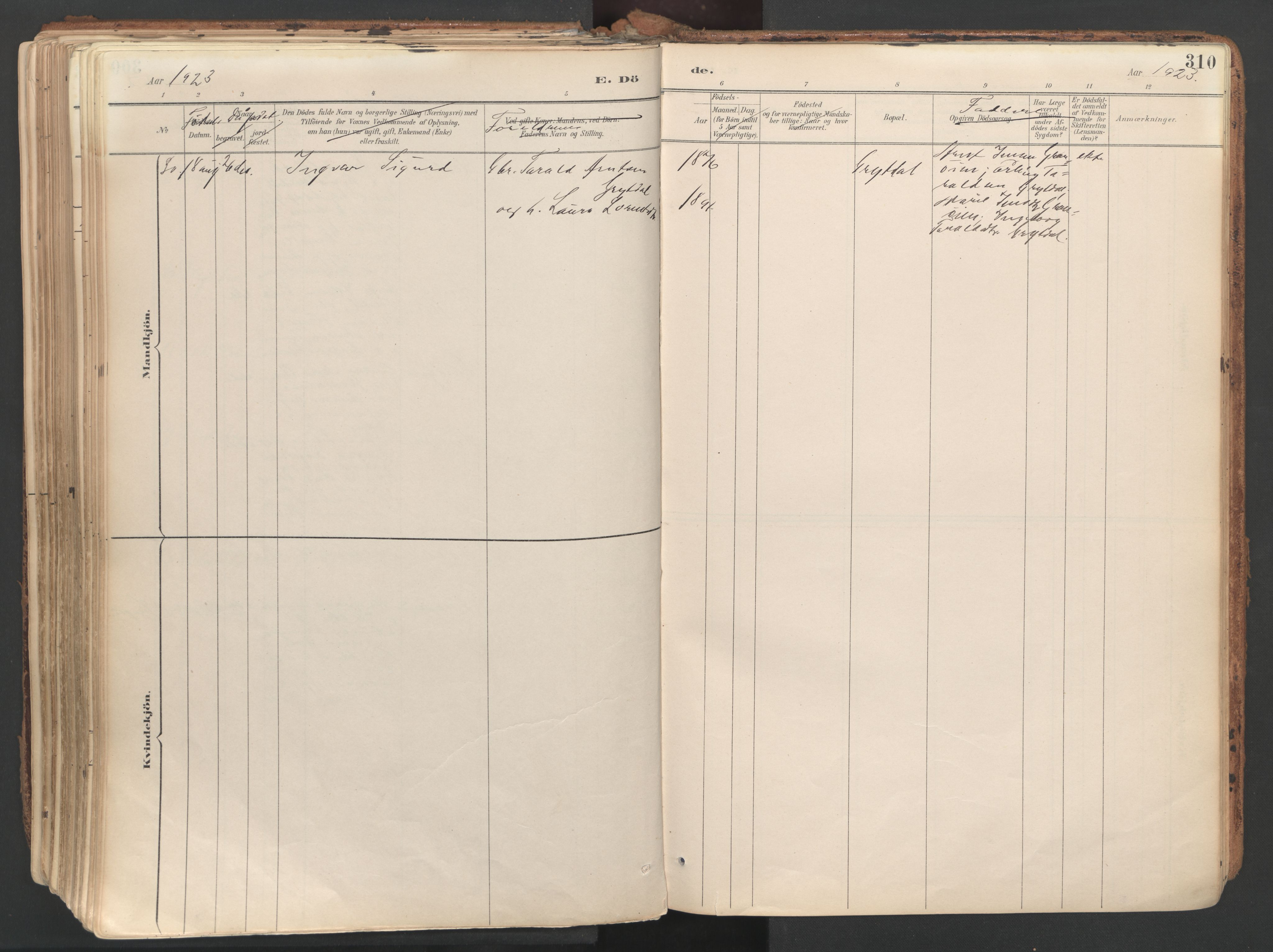 Ministerialprotokoller, klokkerbøker og fødselsregistre - Sør-Trøndelag, AV/SAT-A-1456/687/L1004: Parish register (official) no. 687A10, 1891-1923, p. 310