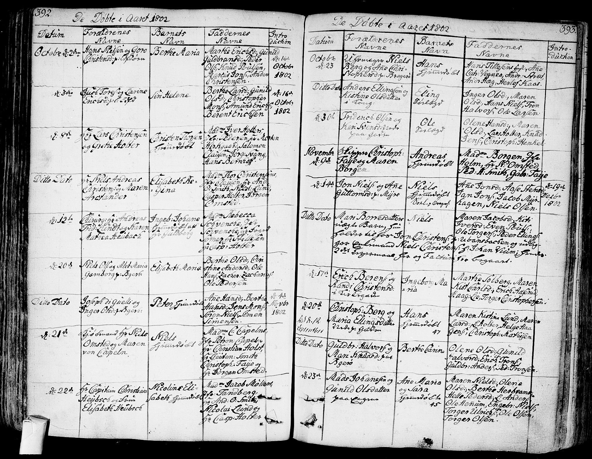 Bragernes kirkebøker, AV/SAKO-A-6/F/Fa/L0006a: Parish register (official) no. I 6, 1782-1814, p. 392-393