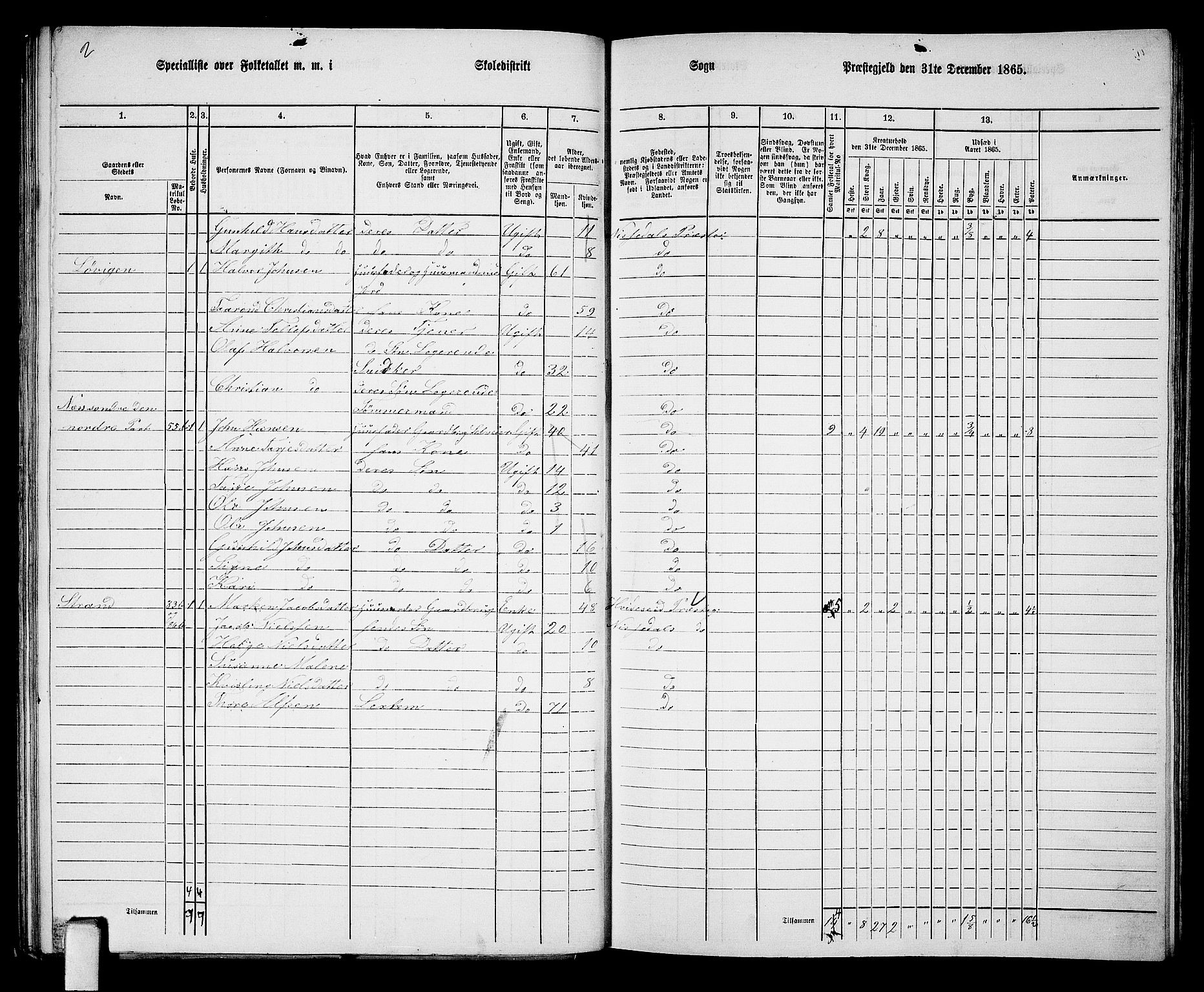 RA, 1865 census for Nissedal, 1865, p. 50