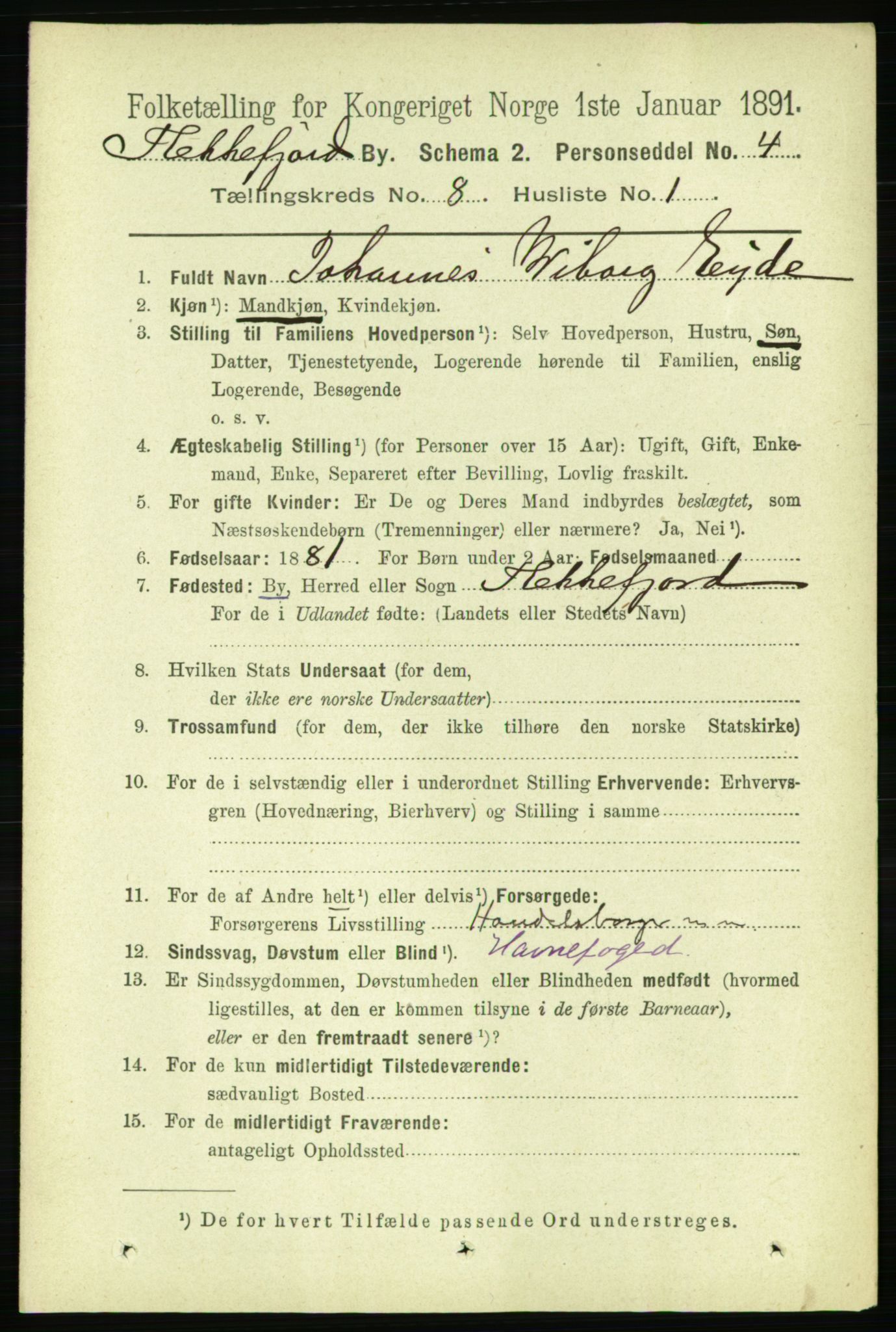 RA, 1891 census for 1004 Flekkefjord, 1891, p. 1366