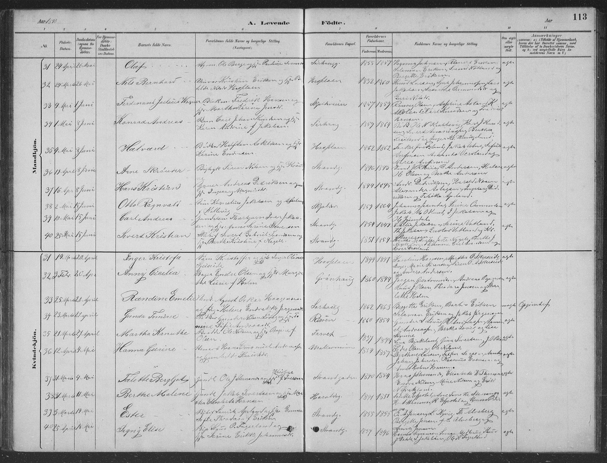 Haugesund sokneprestkontor, AV/SAST-A -101863/H/Ha/Hab/L0002: Parish register (copy) no. B 2, 1881-1894, p. 113