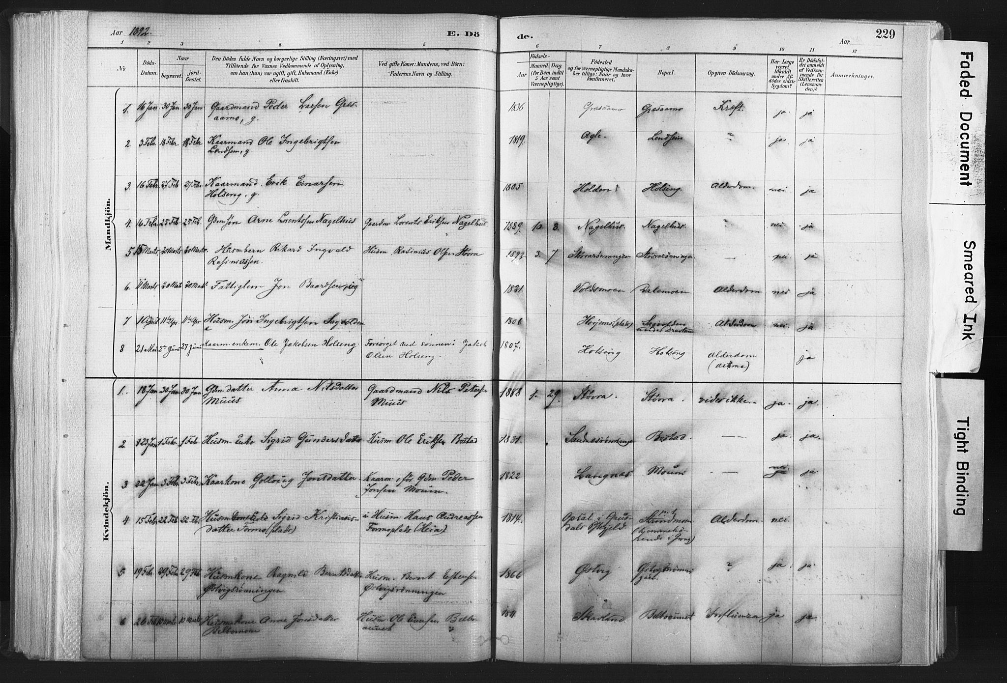 Ministerialprotokoller, klokkerbøker og fødselsregistre - Nord-Trøndelag, SAT/A-1458/749/L0474: Parish register (official) no. 749A08, 1887-1903, p. 229