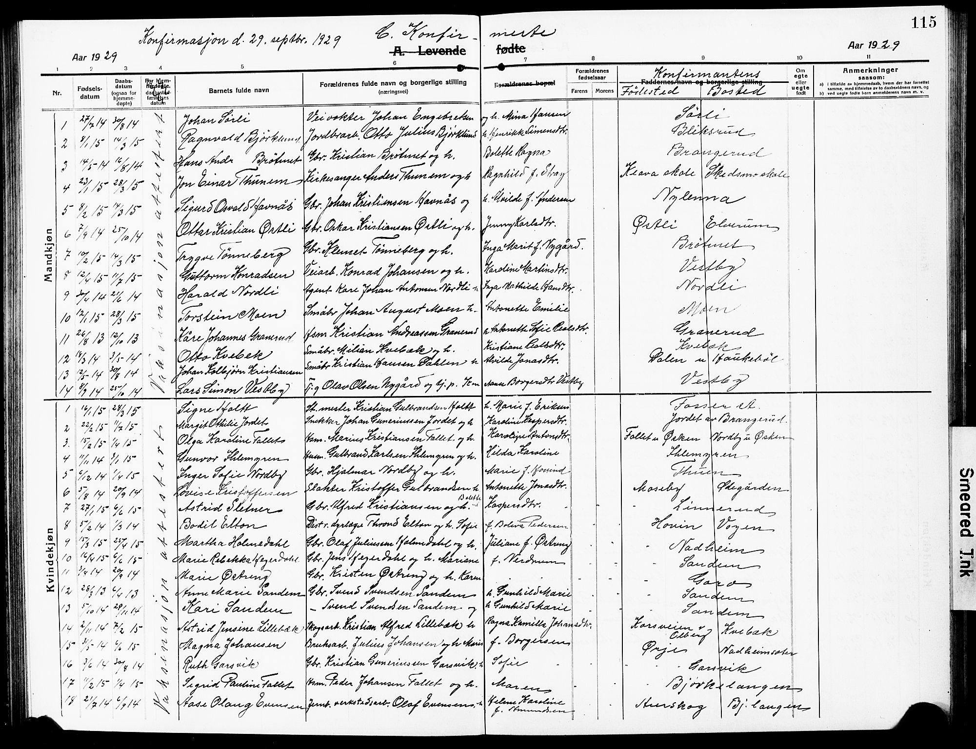Høland prestekontor Kirkebøker, AV/SAO-A-10346a/G/Ga/L0008: Parish register (copy) no. I 8, 1915-1929, p. 115