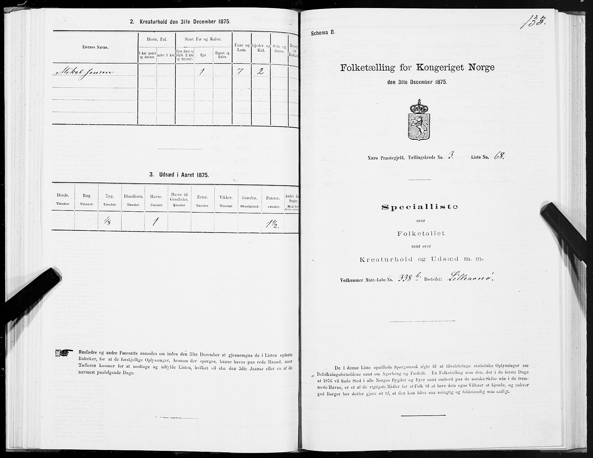 SAT, 1875 census for 1751P Nærøy, 1875, p. 2133