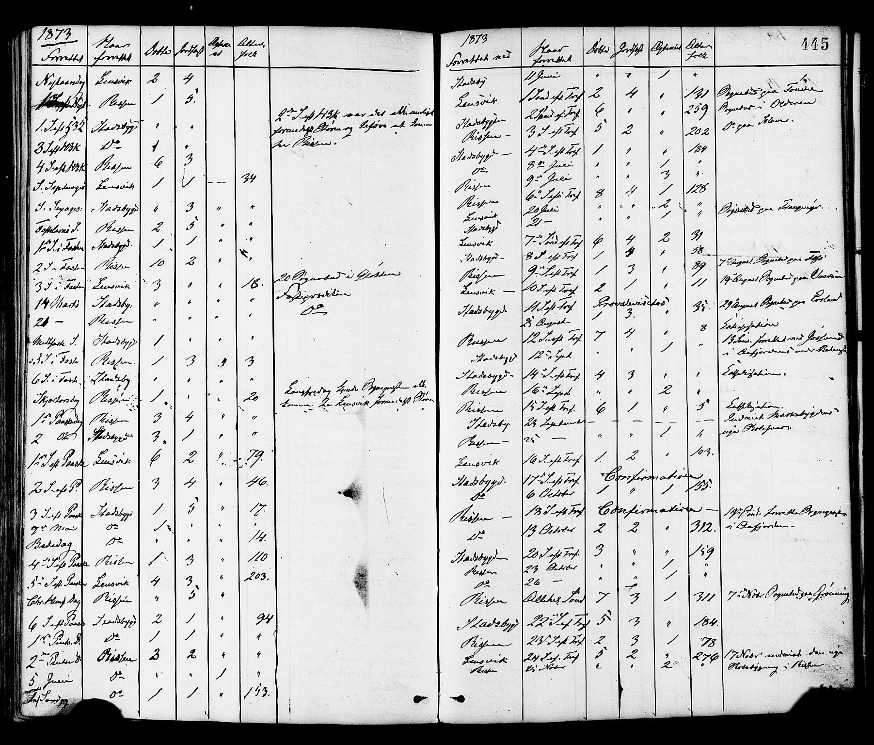 Ministerialprotokoller, klokkerbøker og fødselsregistre - Sør-Trøndelag, SAT/A-1456/646/L0613: Parish register (official) no. 646A11, 1870-1884, p. 445