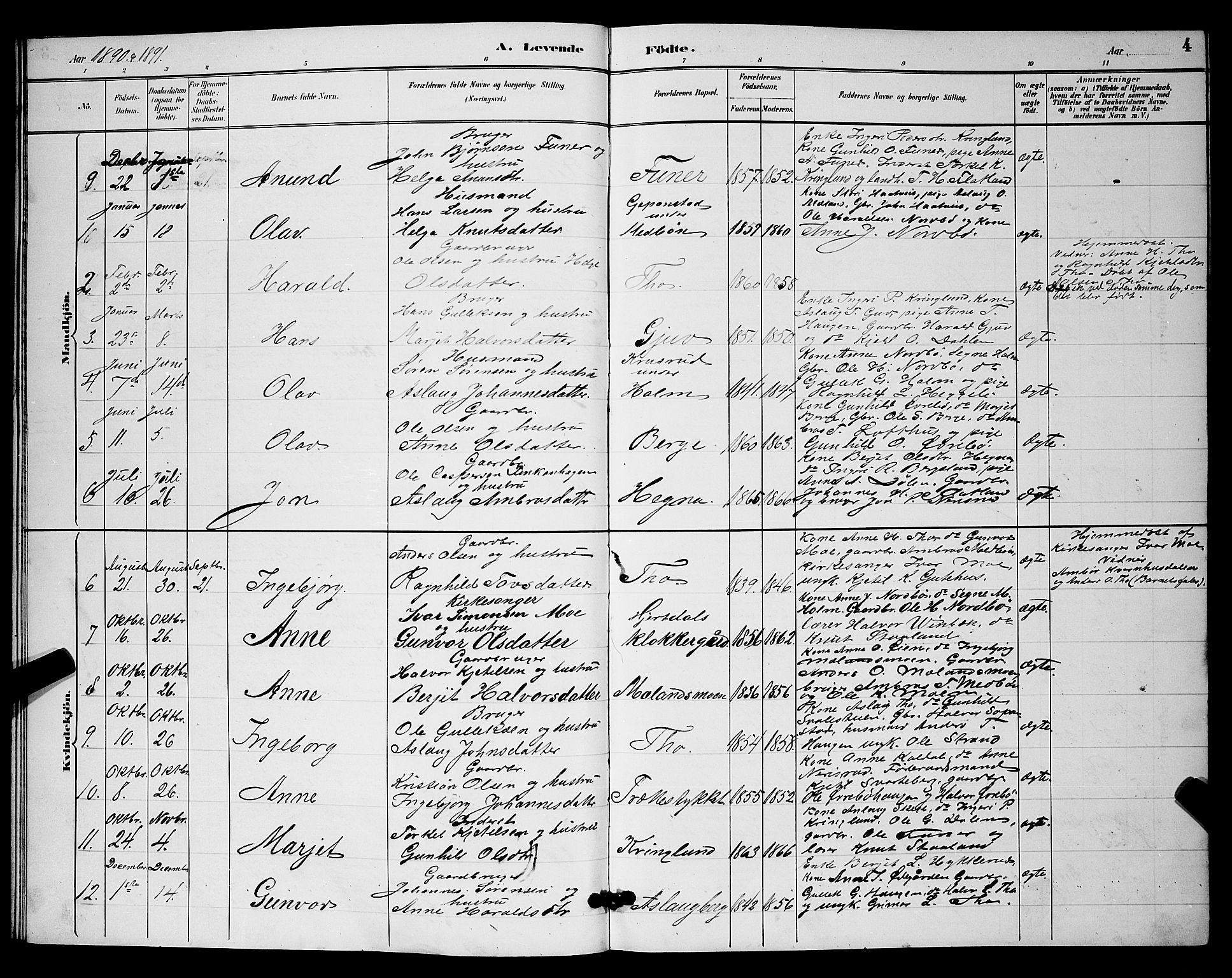 Hjartdal kirkebøker, SAKO/A-270/G/Ga/L0003: Parish register (copy) no. I 3, 1889-1896, p. 4