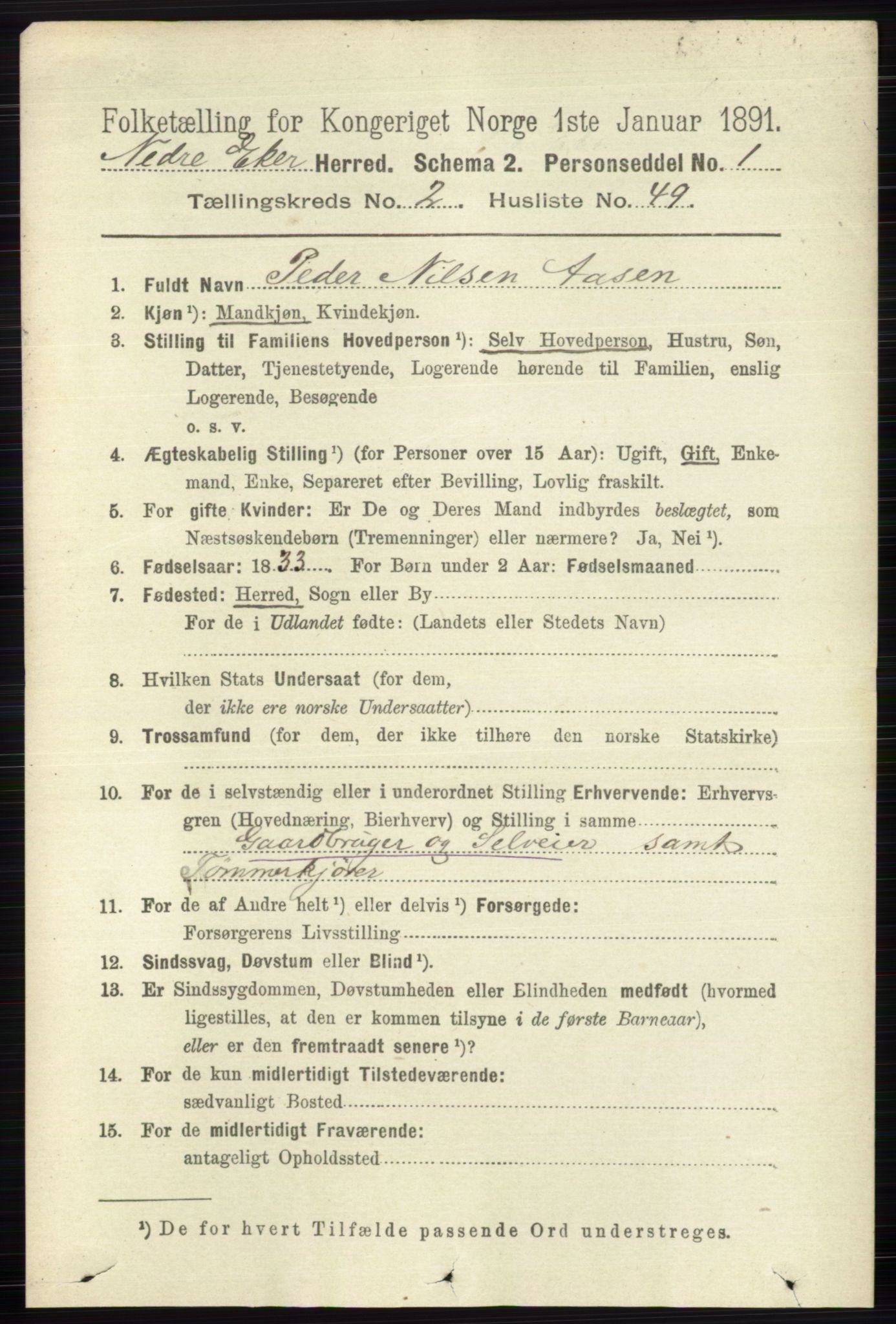 RA, 1891 census for 0625 Nedre Eiker, 1891, p. 808