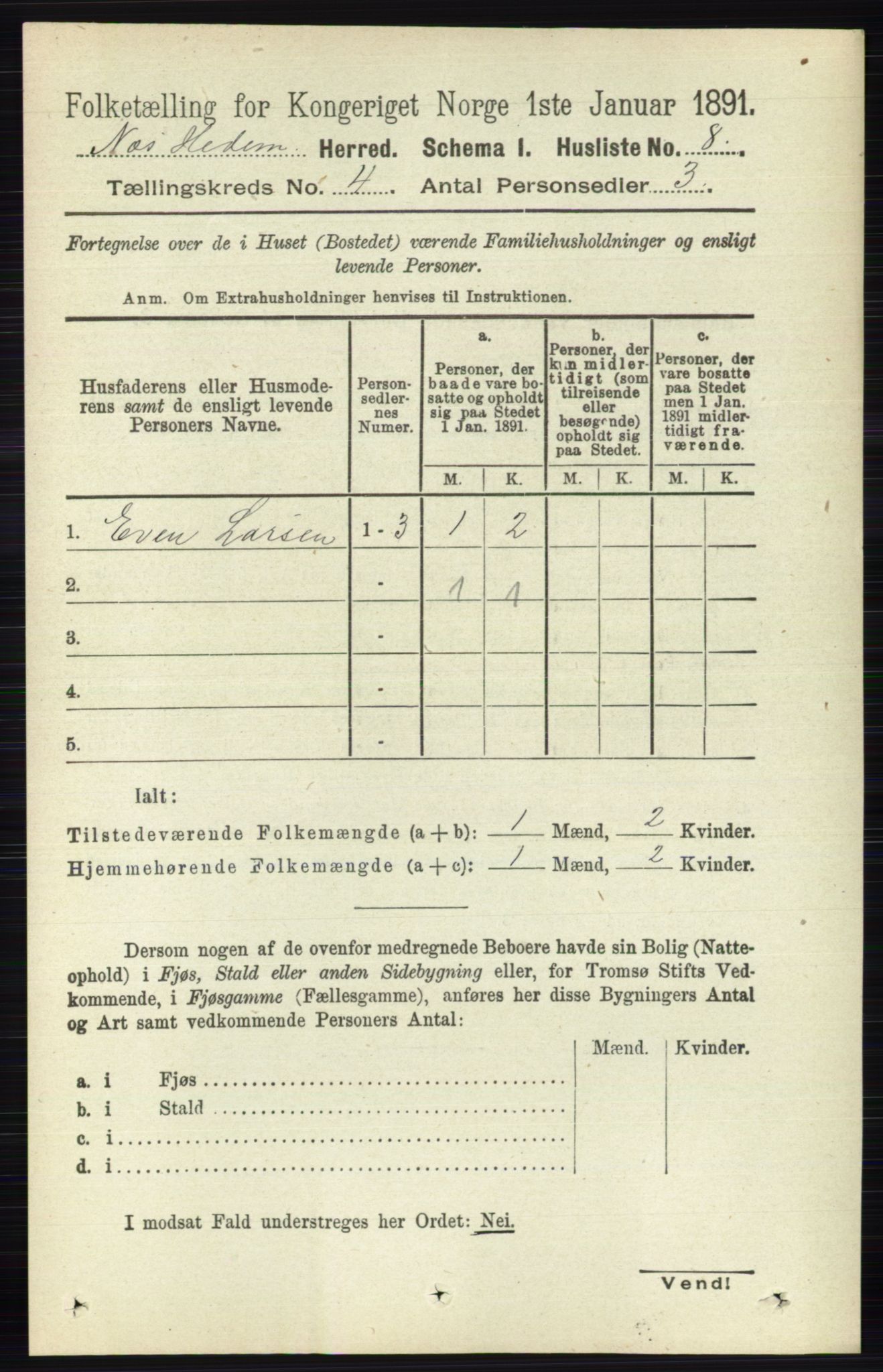 RA, 1891 census for 0411 Nes, 1891, p. 1960