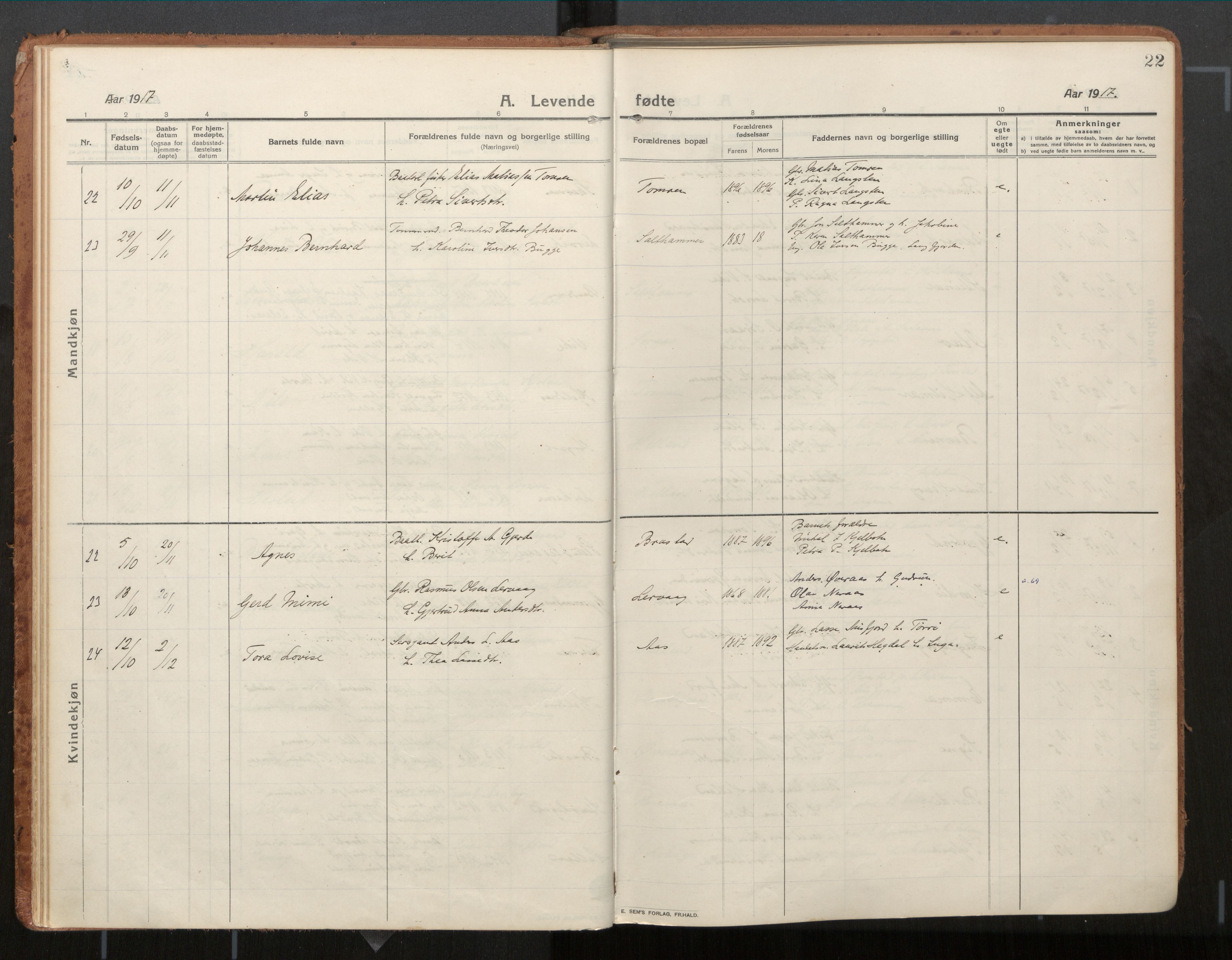 Ministerialprotokoller, klokkerbøker og fødselsregistre - Møre og Romsdal, AV/SAT-A-1454/539/L0534a: Parish register (official) no. 539A08, 1912-1935, p. 22