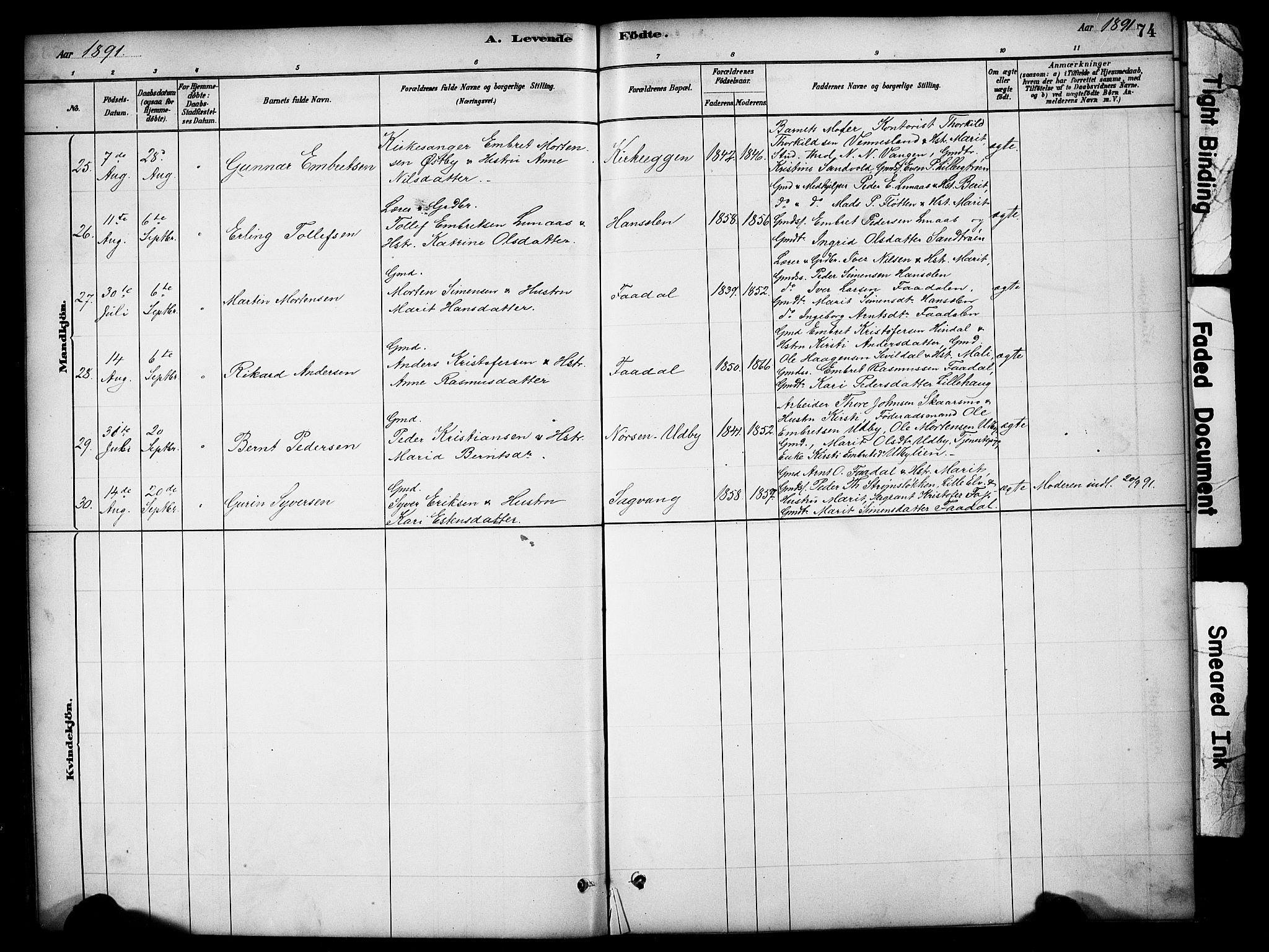 Tynset prestekontor, SAH/PREST-058/H/Ha/Hab/L0006: Parish register (copy) no. 6, 1880-1899, p. 74