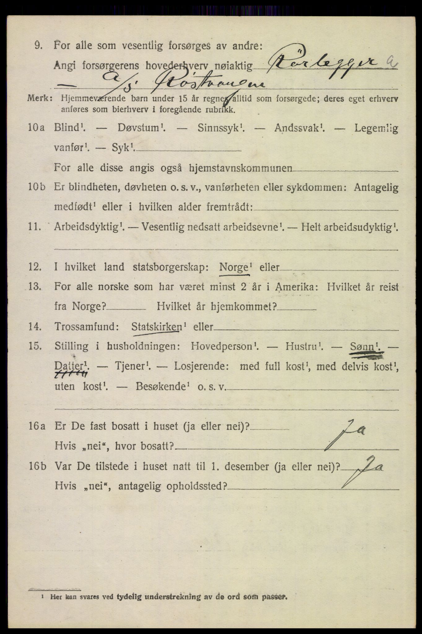 SAH, 1920 census for Tynset, 1920, p. 8621